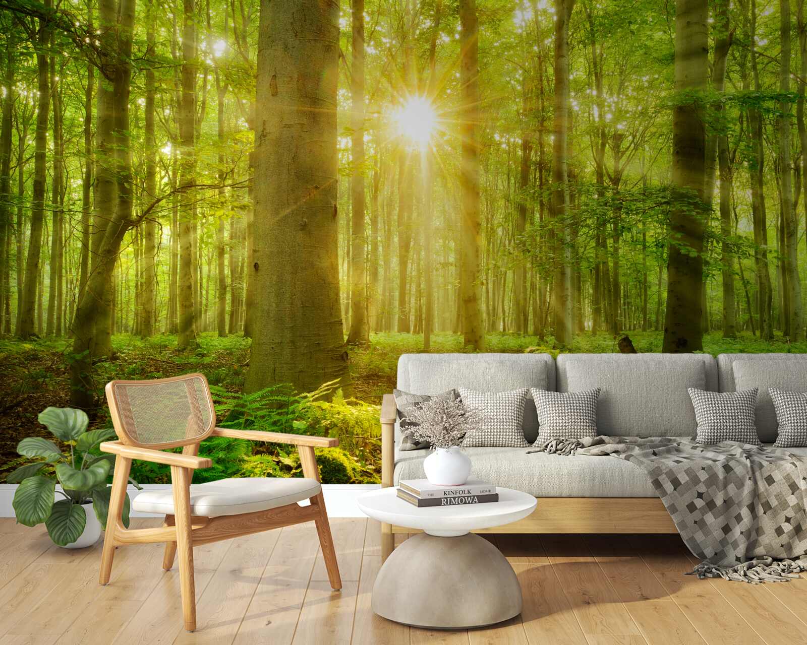 Fototapeta las ożywa w porannych promieniach słońca