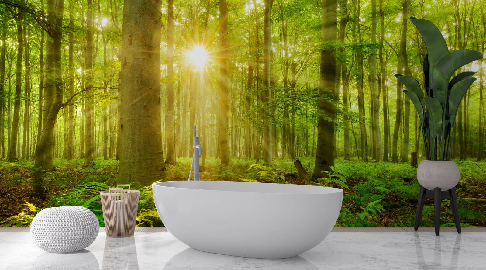 Fototapeta las ożywa w porannych promieniach słońca