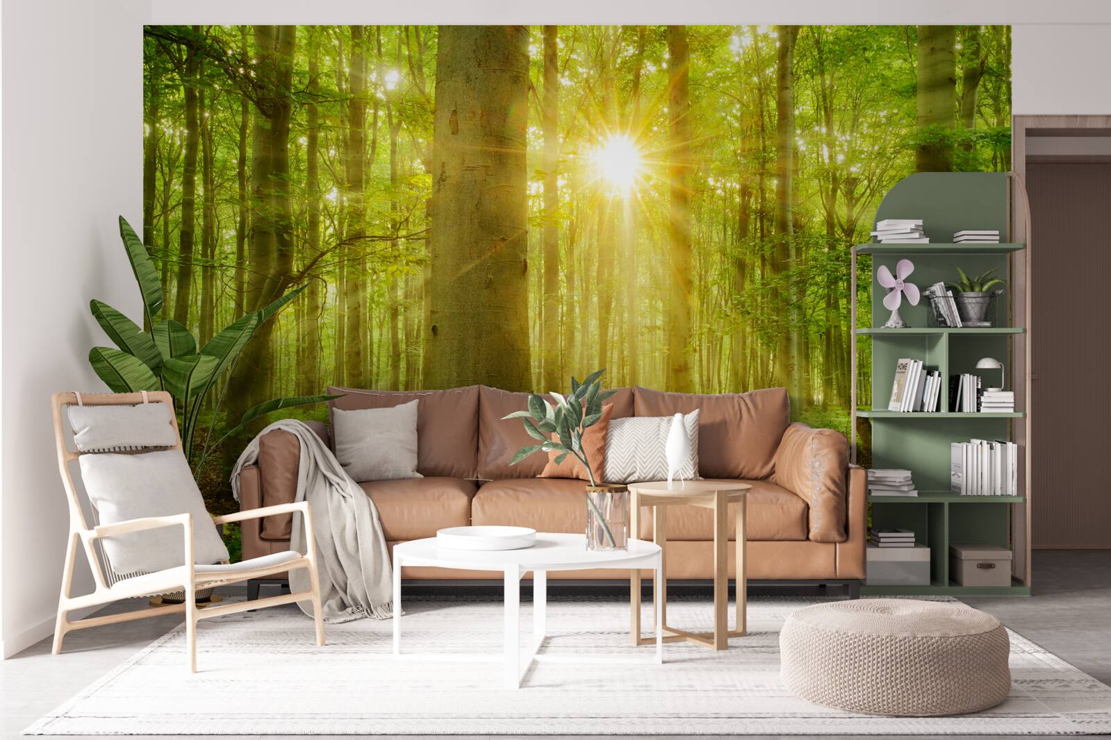 Fototapeta las ożywa w porannych promieniach słońca