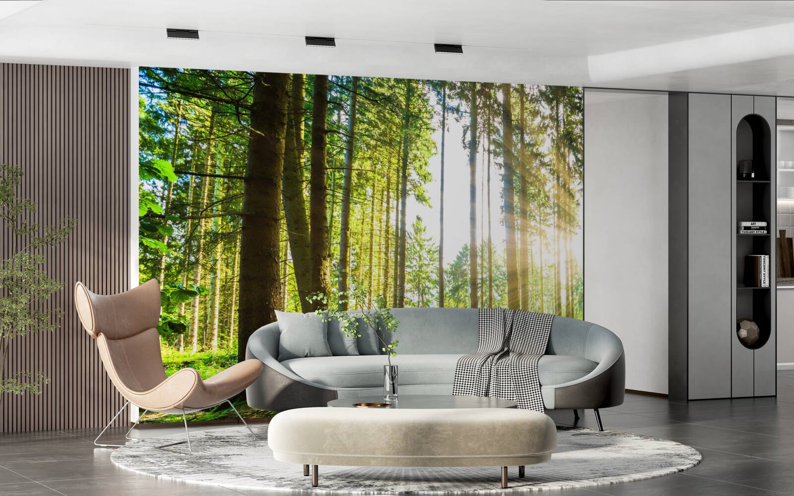 Fototapeta promienie słońca przenikają pomiędzy wysokimi drzewami