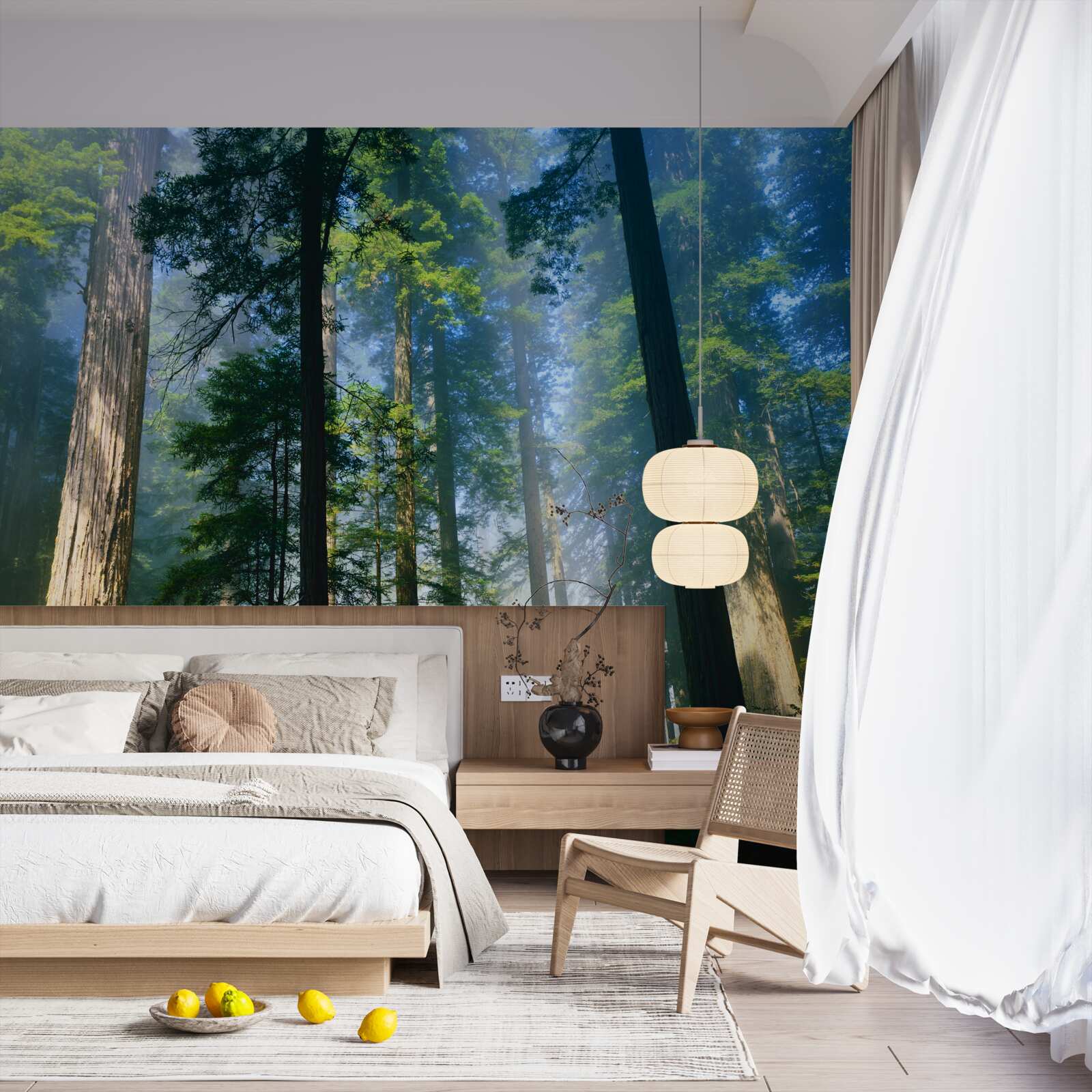 Fototapeta cienka mglista pokrywa wśród wysokich drzew w lesie