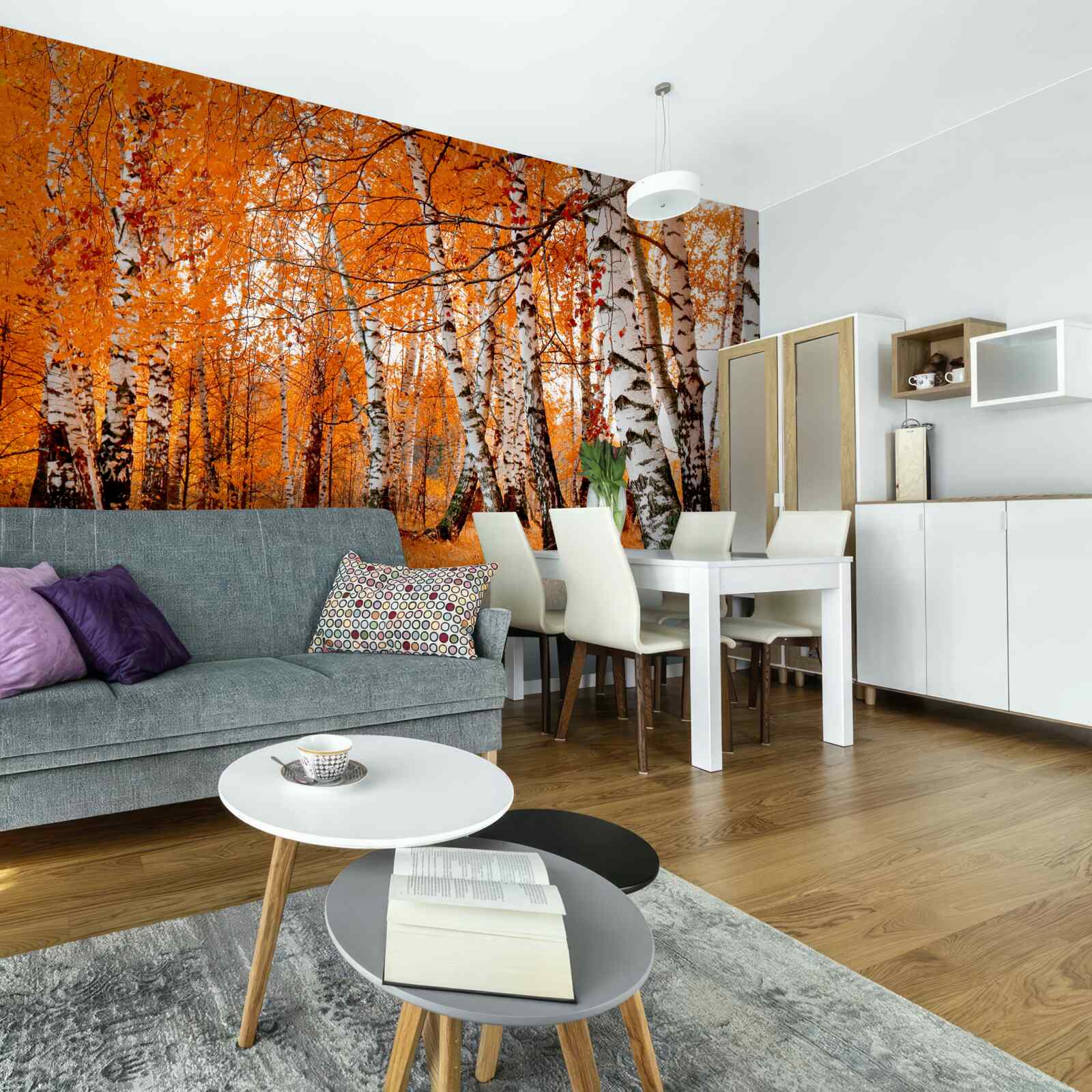 Fototapeta liście brzozy są pomarańczowe