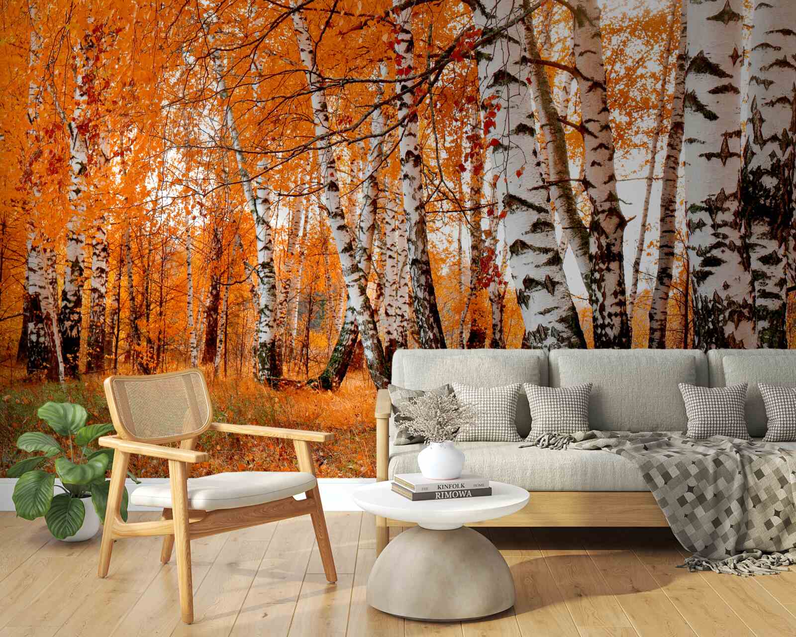 Fototapeta liście brzozy są pomarańczowe