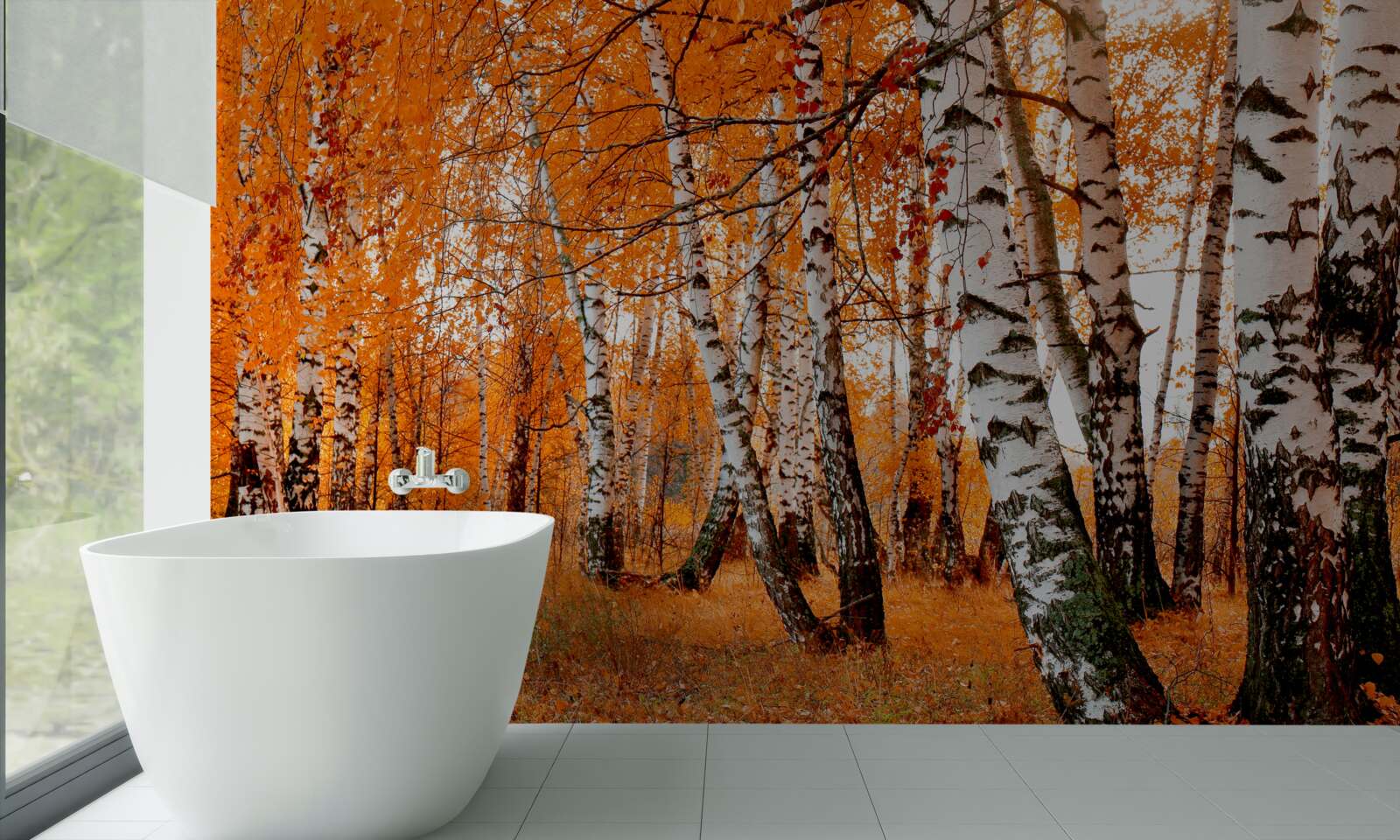 Fototapeta liście brzozy są pomarańczowe