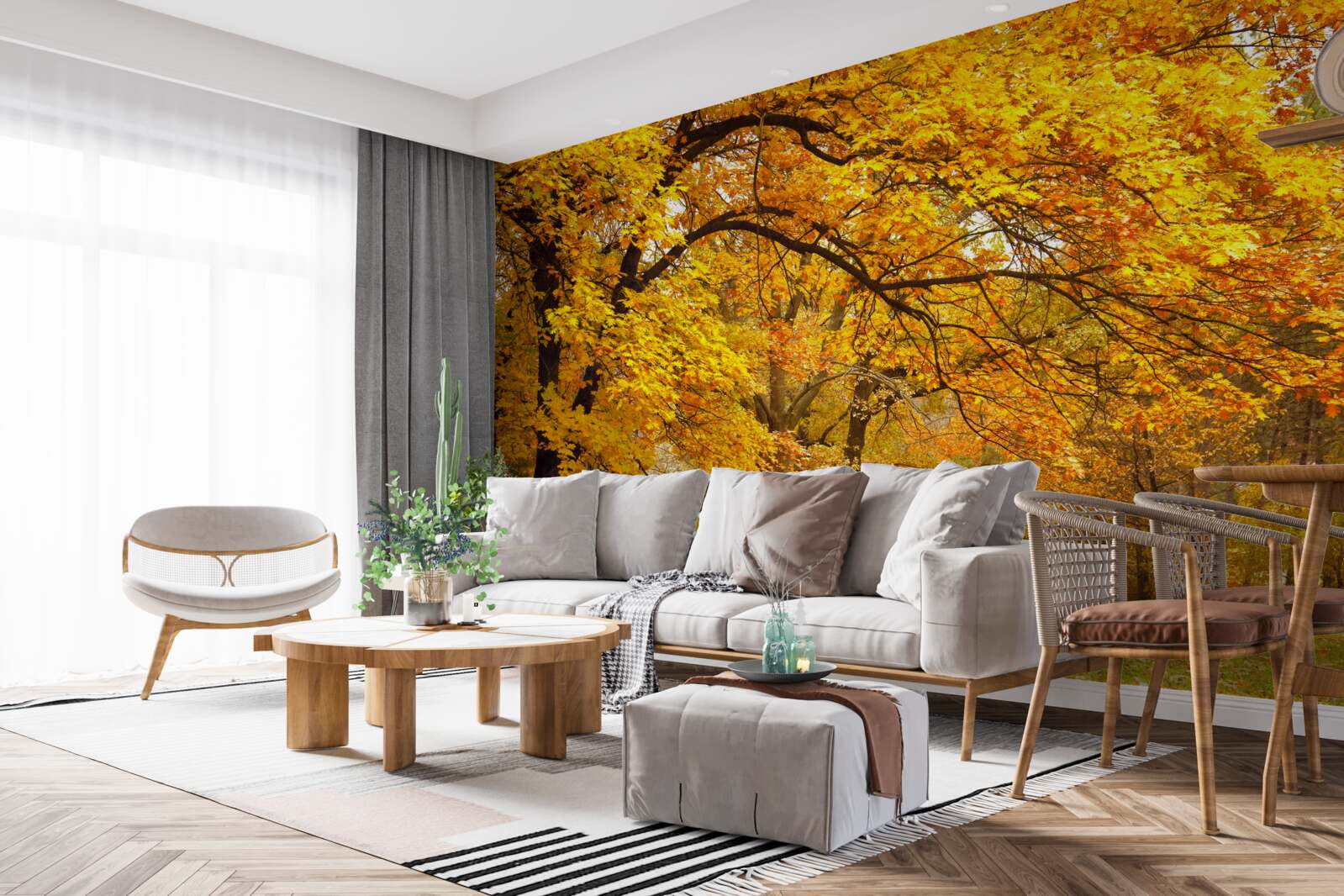 Fototapeta jesień w swoim żółtym stroju wkroczyła do lasu