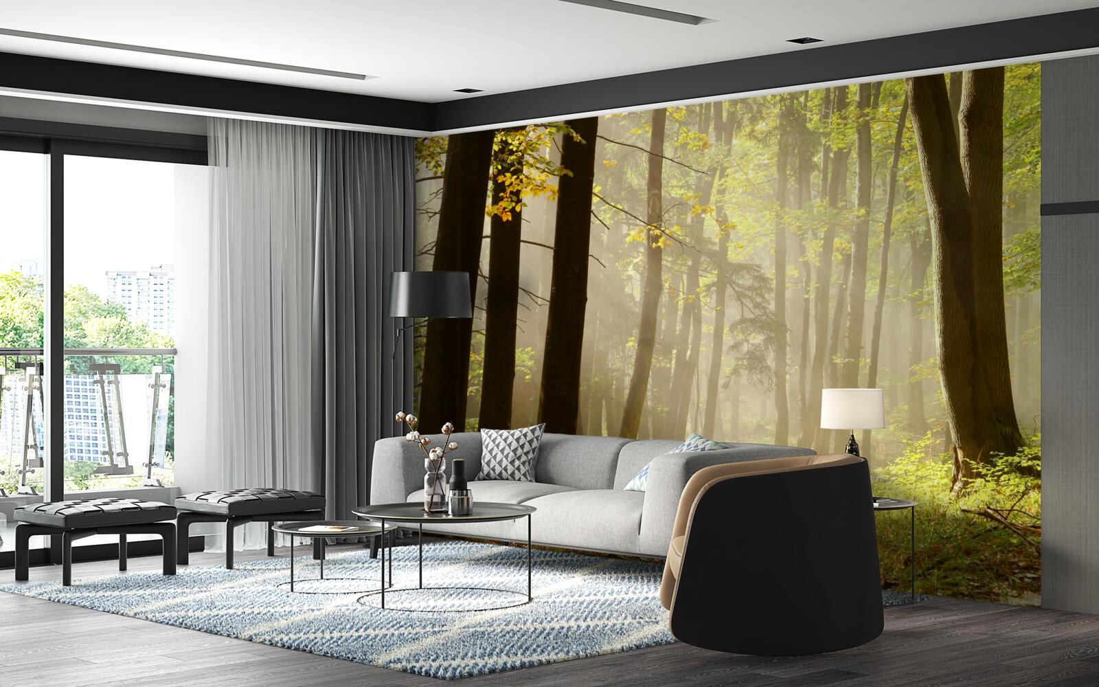 Fototapeta promienie porannego słońca przebijają mgłę na pustyni