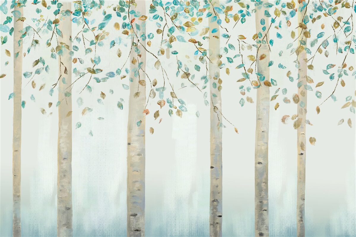 Fototapeta cienkie brzozy w parze