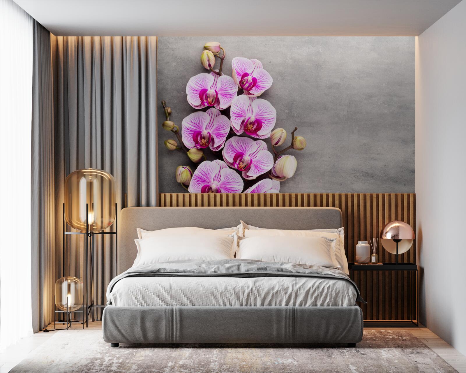 Fototapeta liliowo-biała orchidea