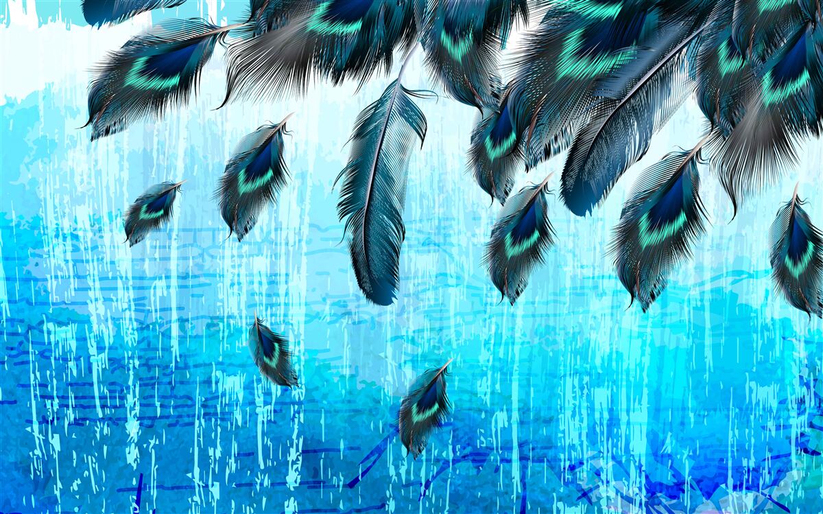 Fototapeta pawie pióra na niebieskim tle