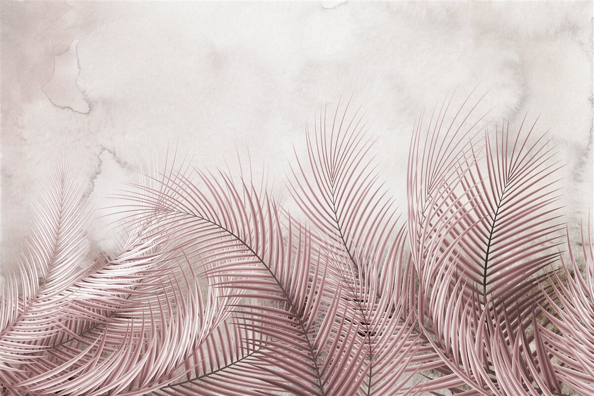 Fototapeta liście tropikalne w mglistej mgle