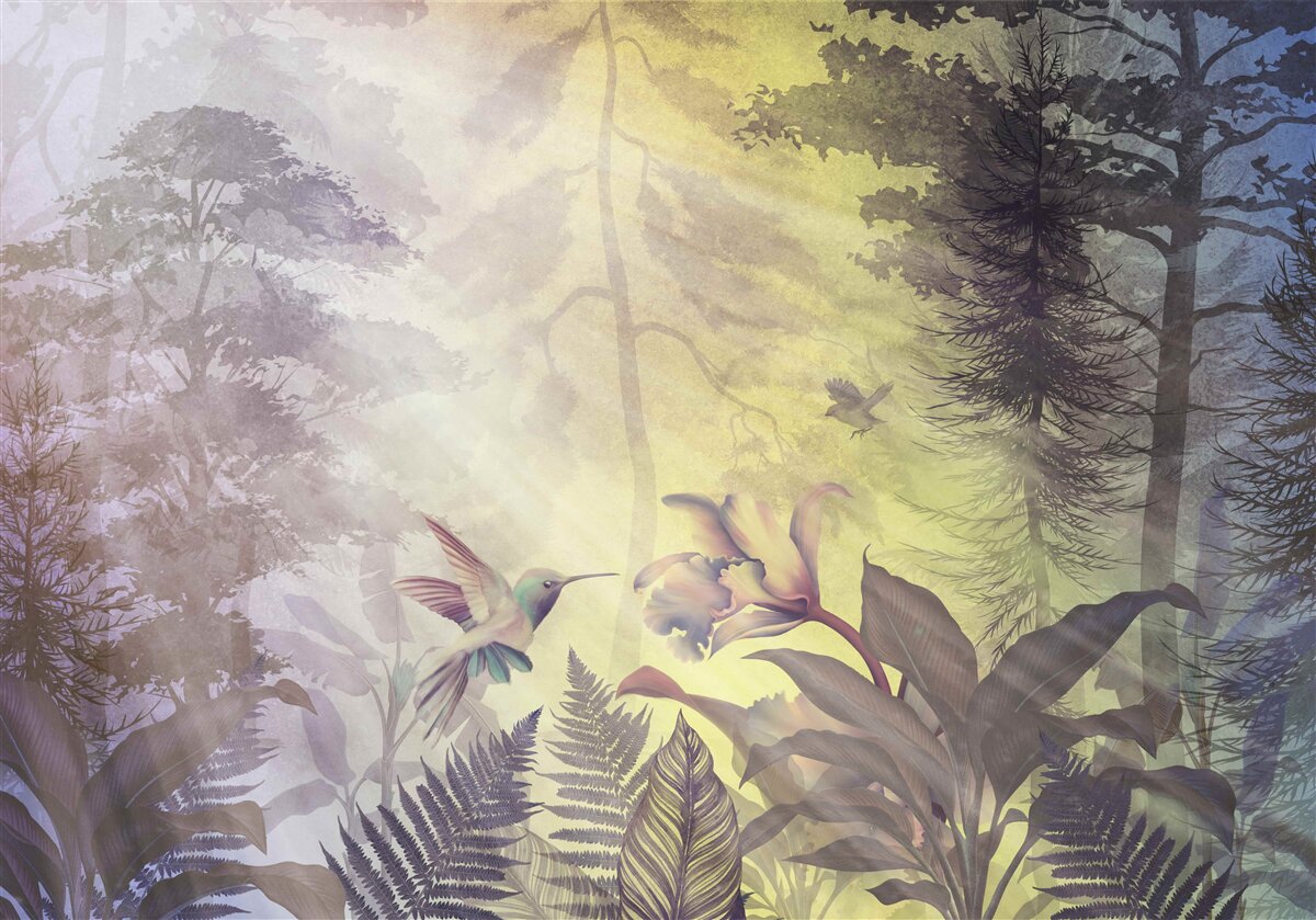 Fototapeta las drzew liściastych pod promieniami słońca