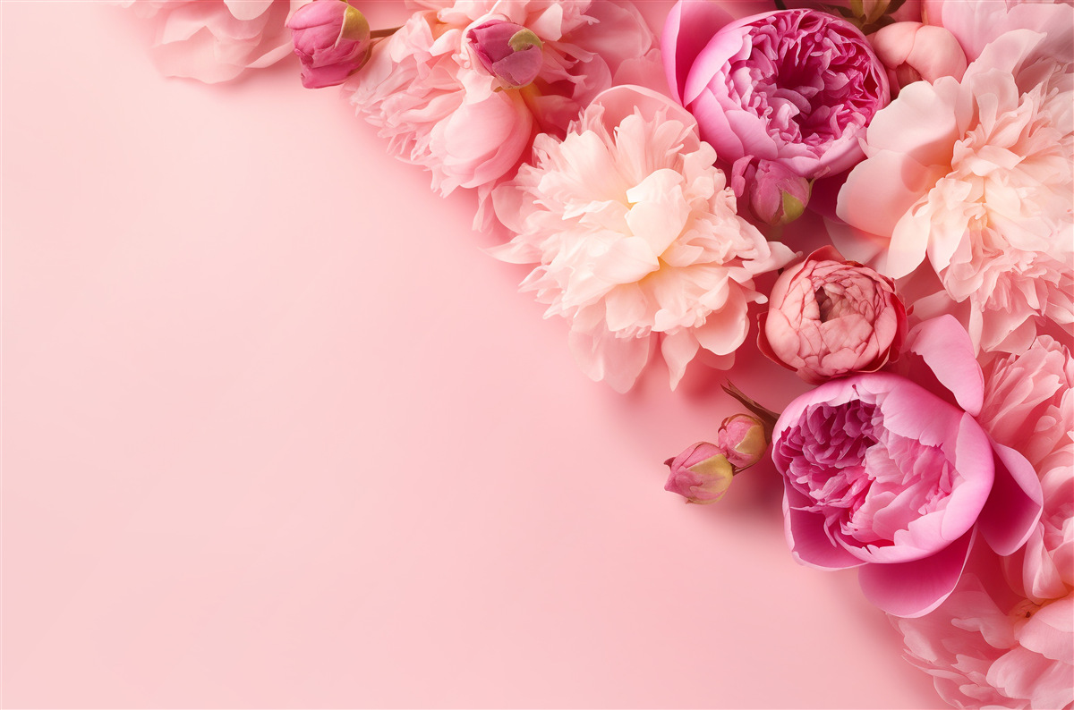 Fototapeta różne różowe kwiaty na tle tego samego odcienia