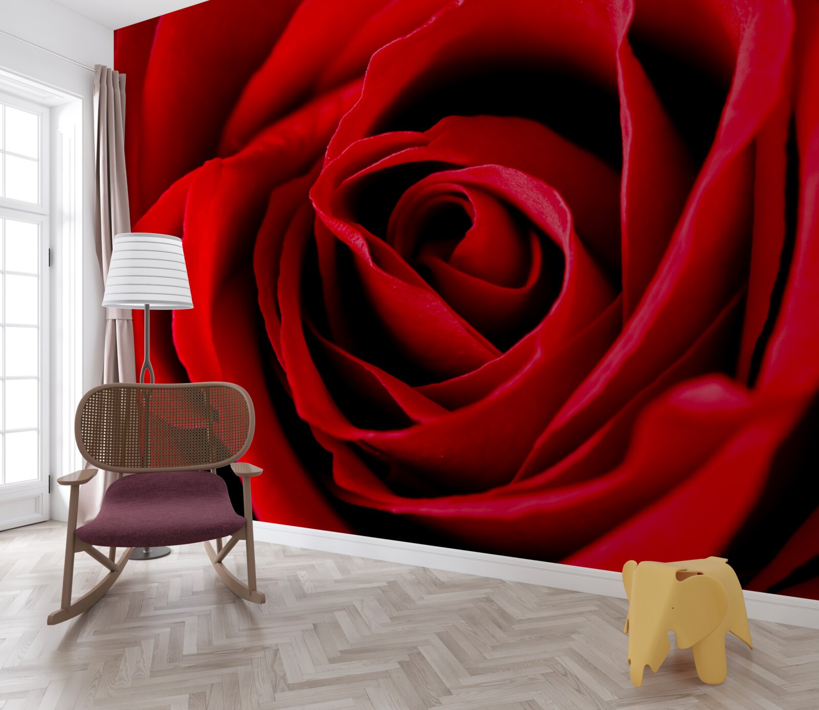 Fototapeta cudowna szkarłatna róża