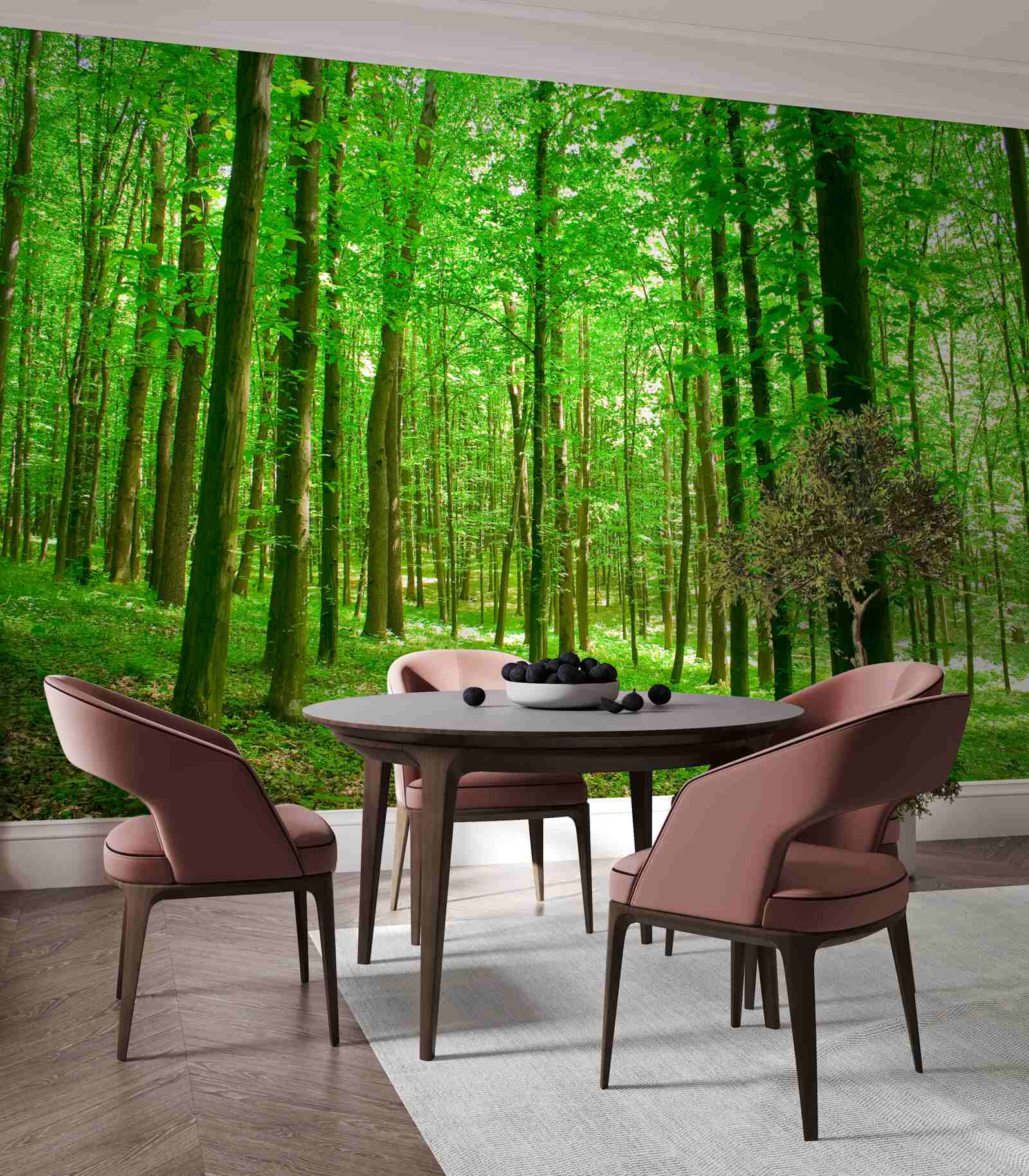 Fototapeta cienki letni las z drzewami liściastymi