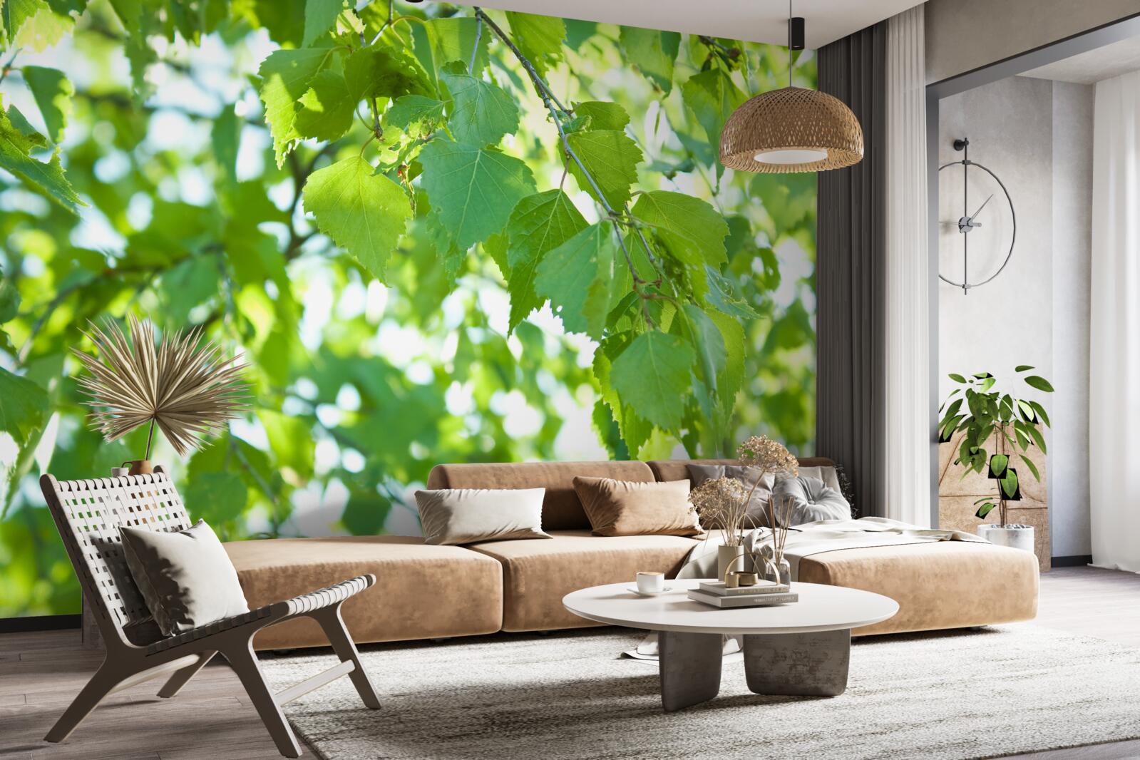 Fototapeta liście brzozy na tle błękitnego nieba