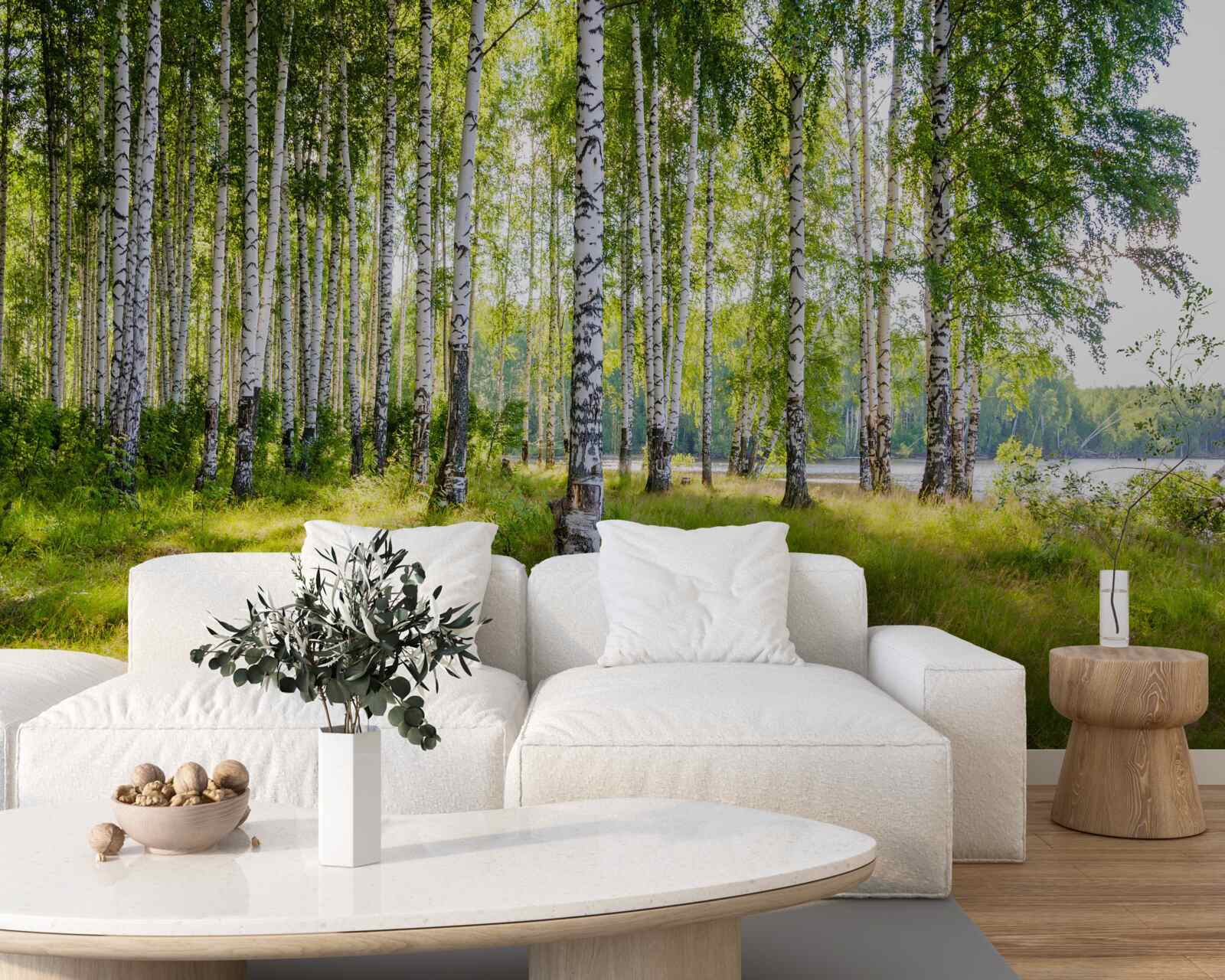 Fototapeta Świt w zielonym zaroślu brzozowym