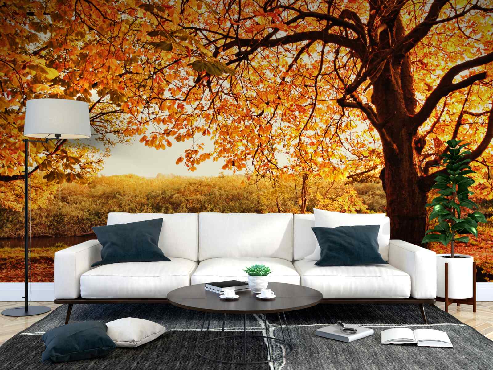 Fototapeta olśniewające uroki lasu w słoneczną jesień