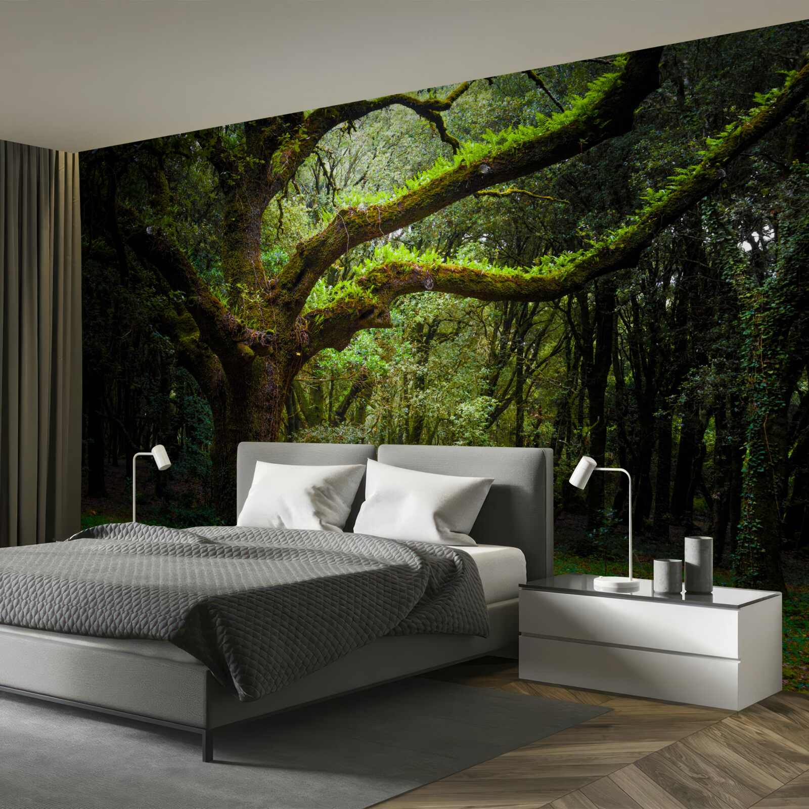 Fototapeta kudłaty starożytny las z gęstymi drzewami