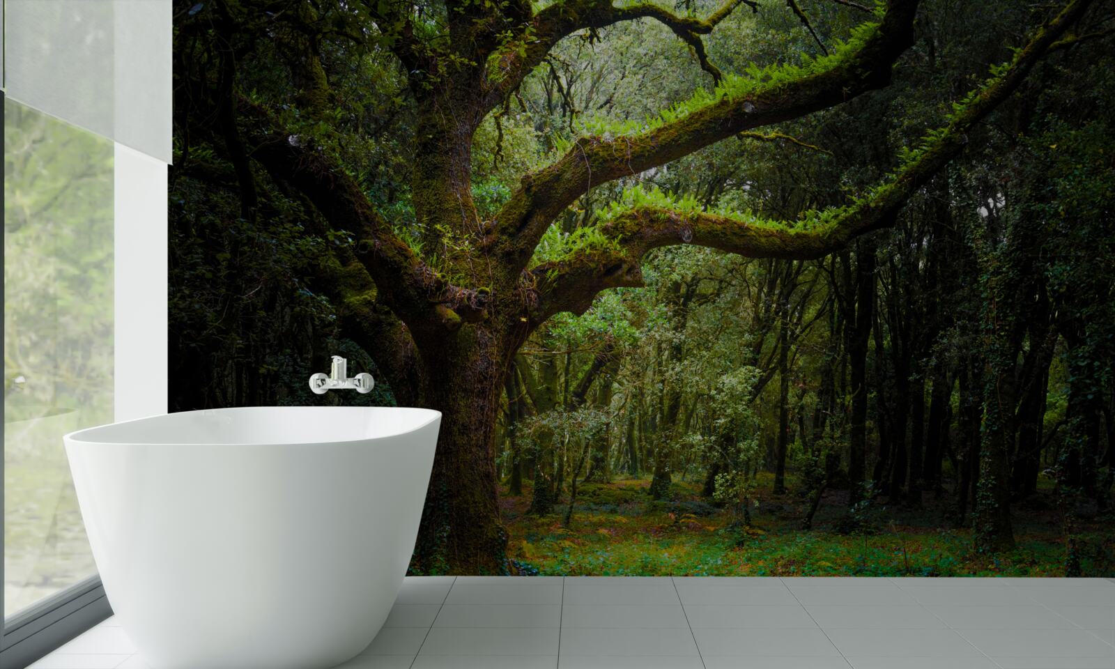 Fototapeta kudłaty starożytny las z gęstymi drzewami