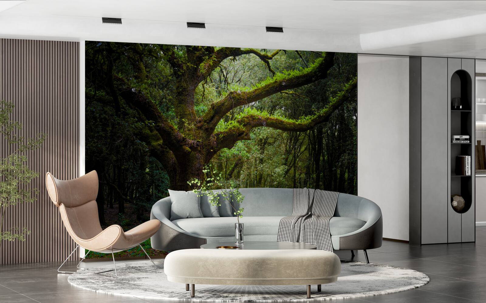 Fototapeta kudłaty starożytny las z gęstymi drzewami