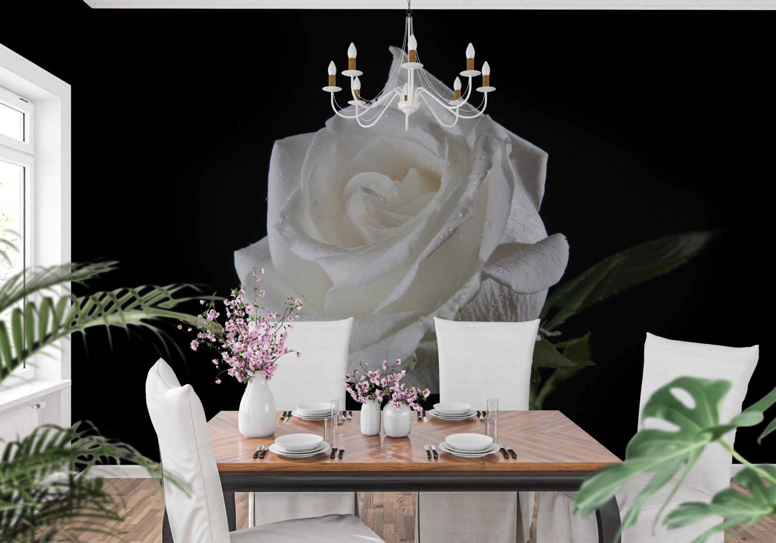 Fototapeta czarne tło podkreśla biel róży