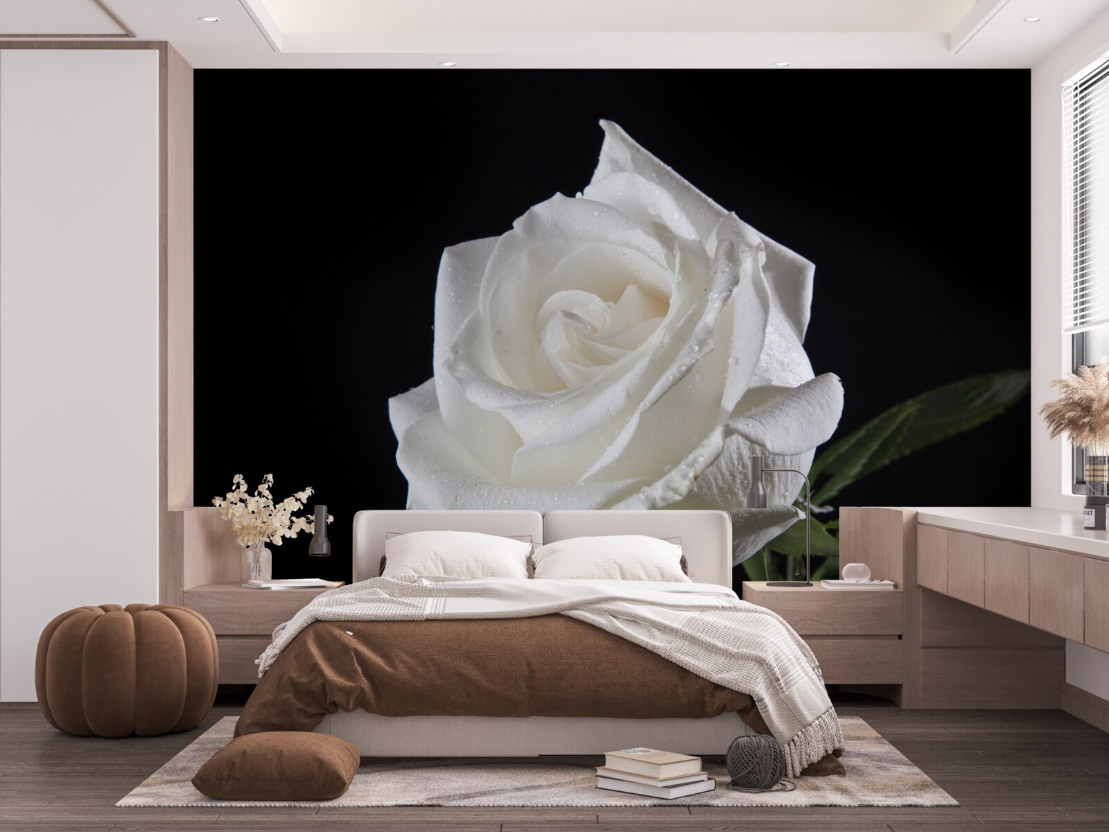 Fototapeta czarne tło podkreśla biel róży