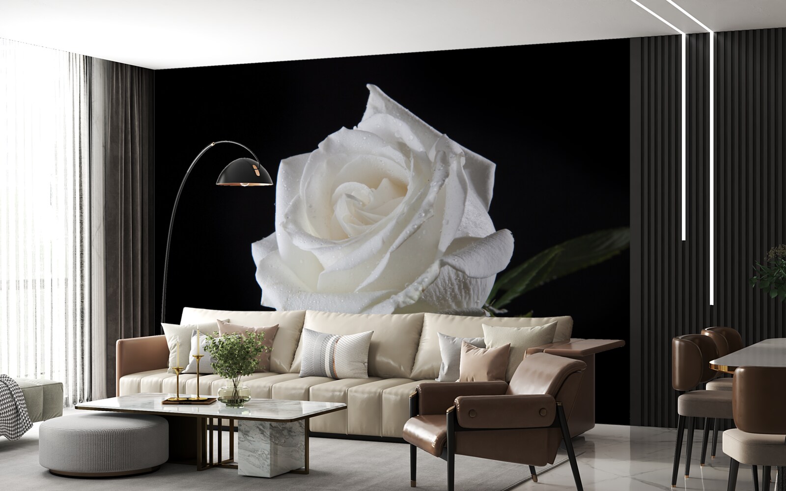 Fototapeta czarne tło podkreśla biel róży
