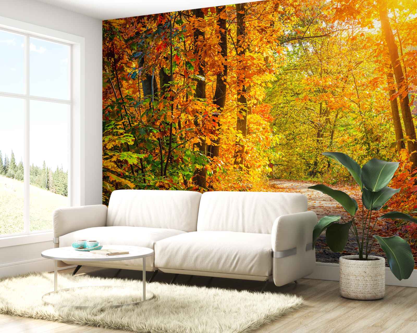 Fototapeta zachód słońca zachwyca jesiennym słońcem