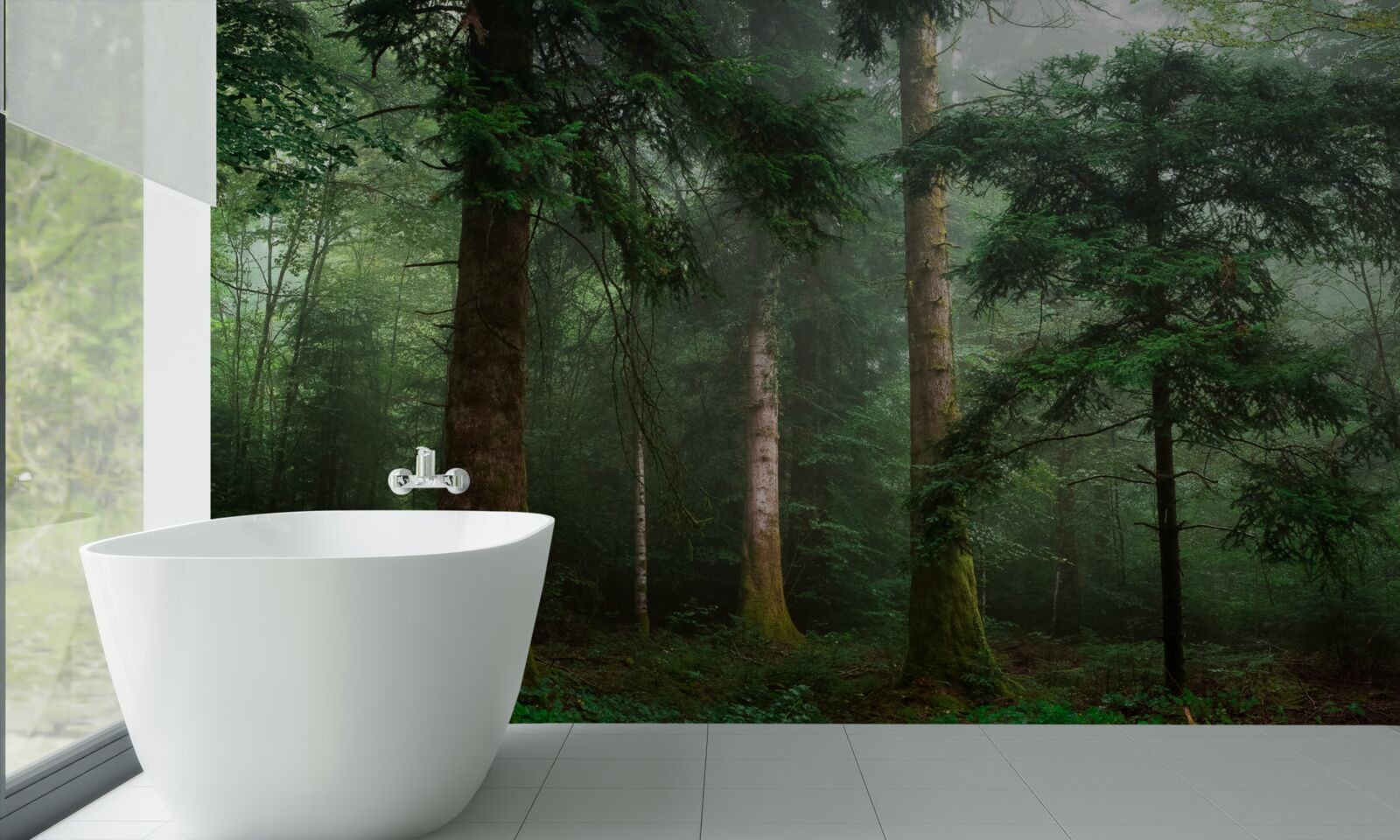 Fototapeta stary las iglasty spowija gęsta mgła