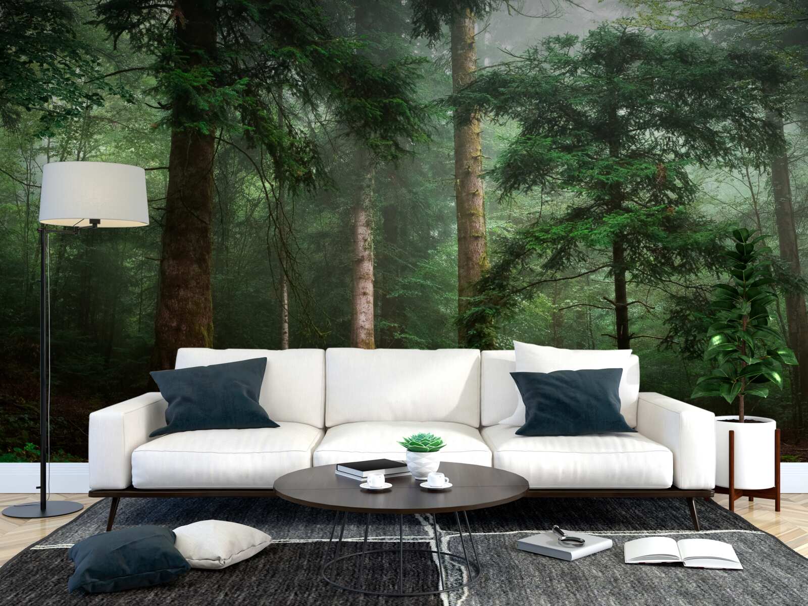 Fototapeta stary las iglasty spowija gęsta mgła