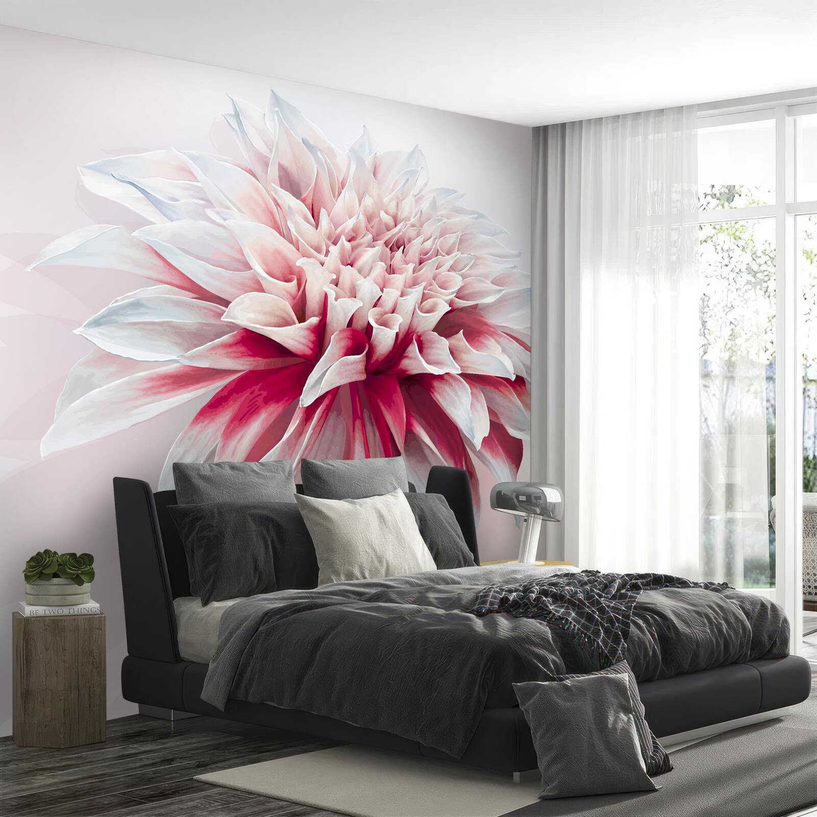 Fototapeta zachwycający pączek astra w biało-czerwonym kolorze