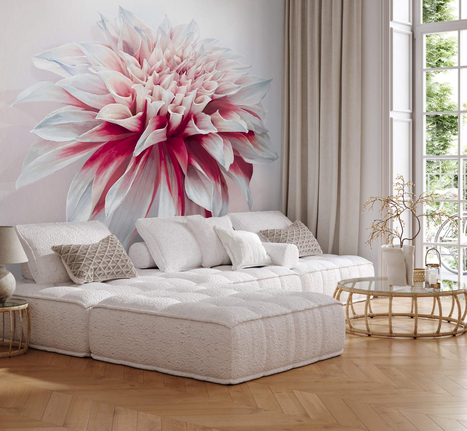 Fototapeta zachwycający pączek astra w biało-czerwonym kolorze