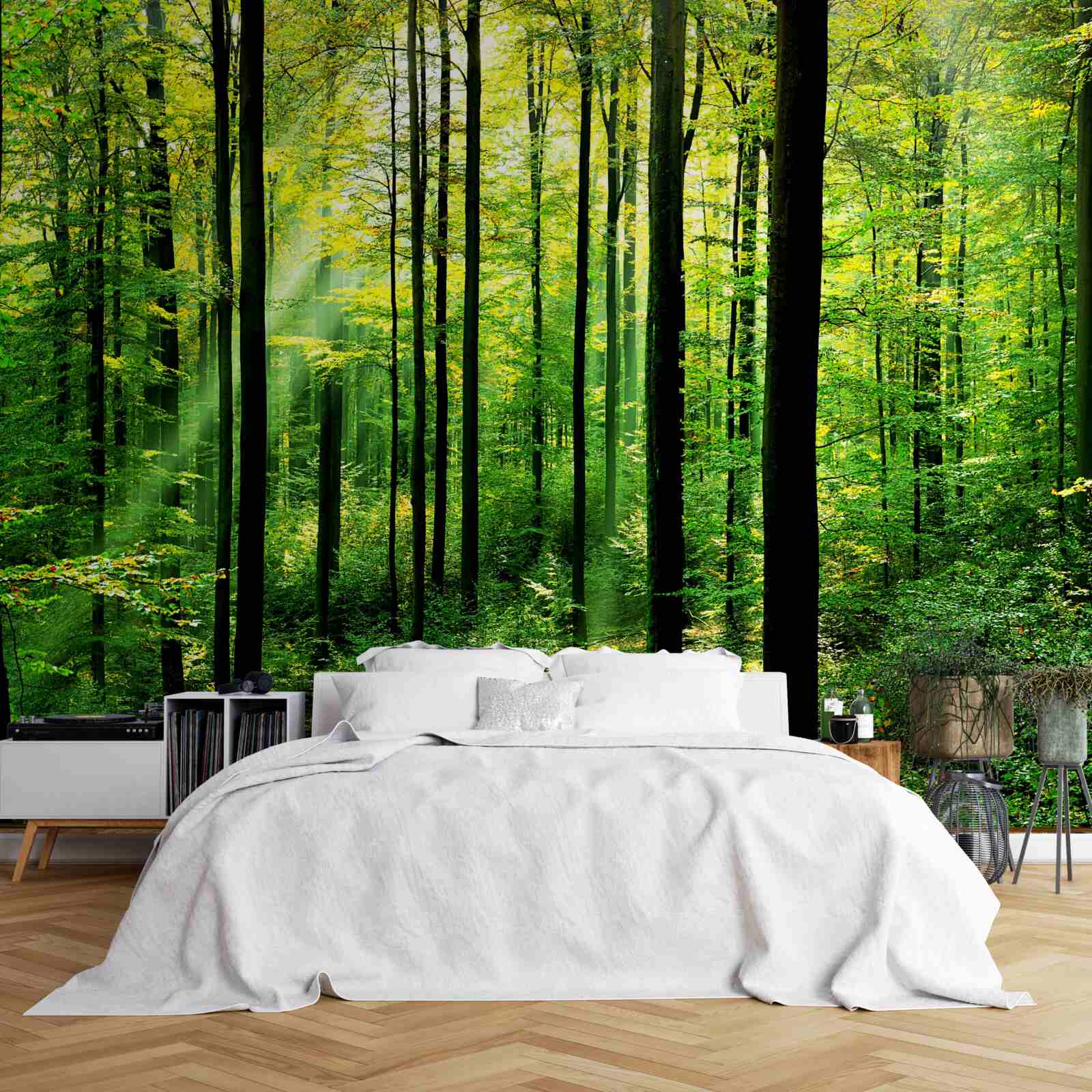 Fototapeta taras z dostępem do gaju sosnowego