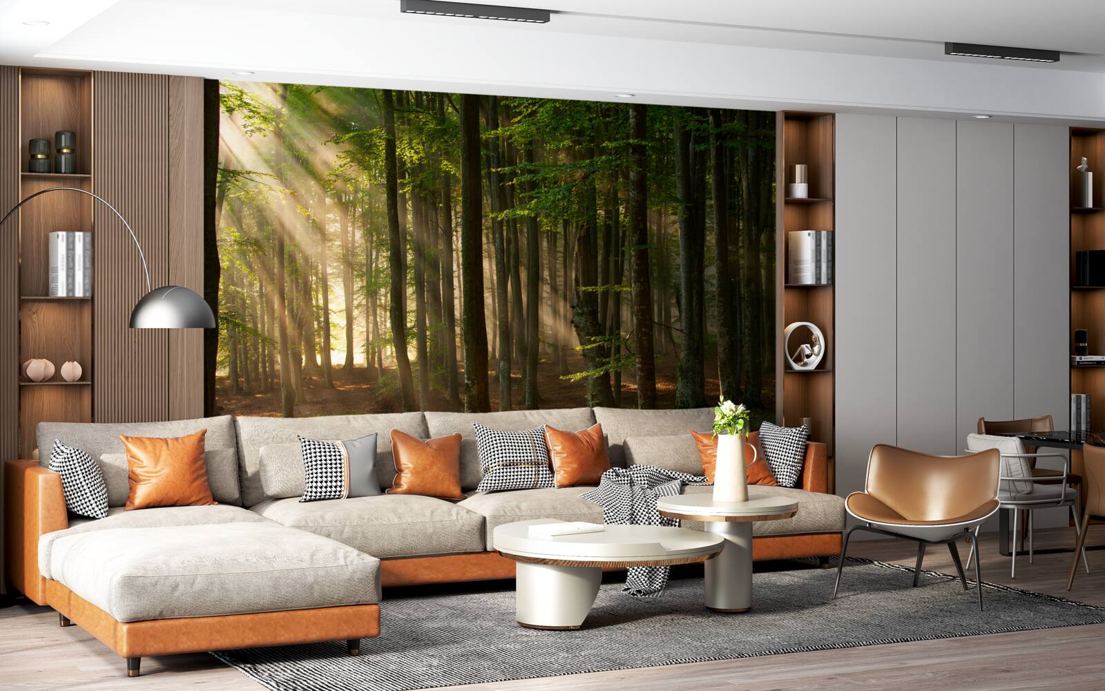 Fototapeta promienie słońca przeganiają chłód z lasu po nocy