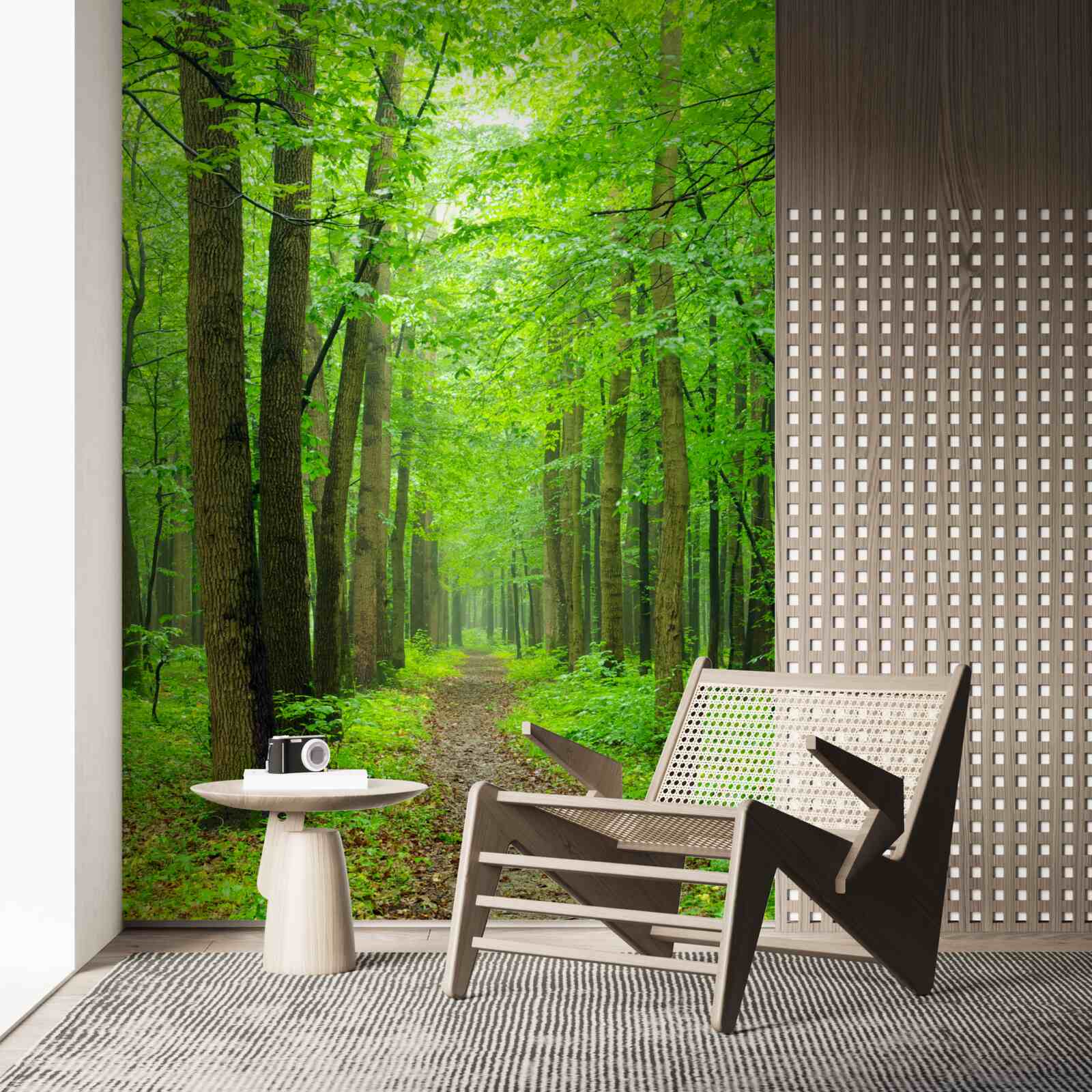 Fototapeta wygodna ścieżka przez pełen wdzięku las liściasty