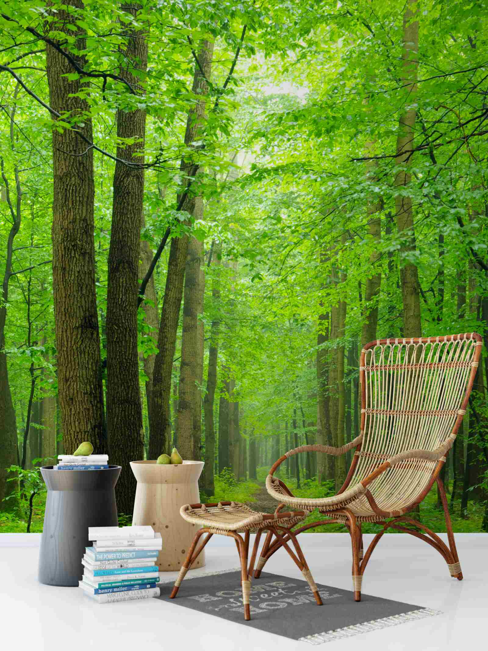 Fototapeta wygodna ścieżka przez pełen wdzięku las liściasty