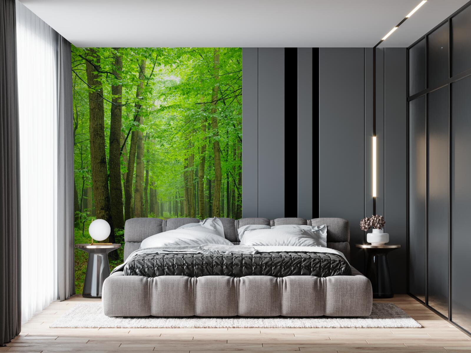 Fototapeta wygodna ścieżka przez pełen wdzięku las liściasty