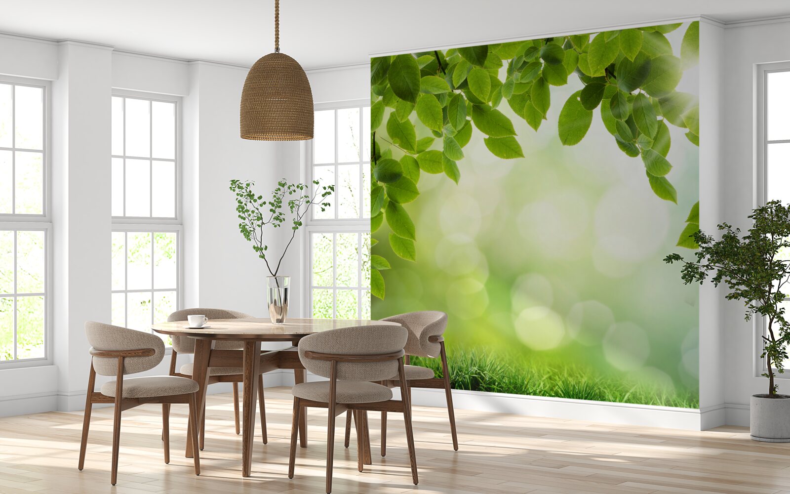 Fototapeta słońce w swojej jasności i liściach ozdobionych zielonymi kroplami