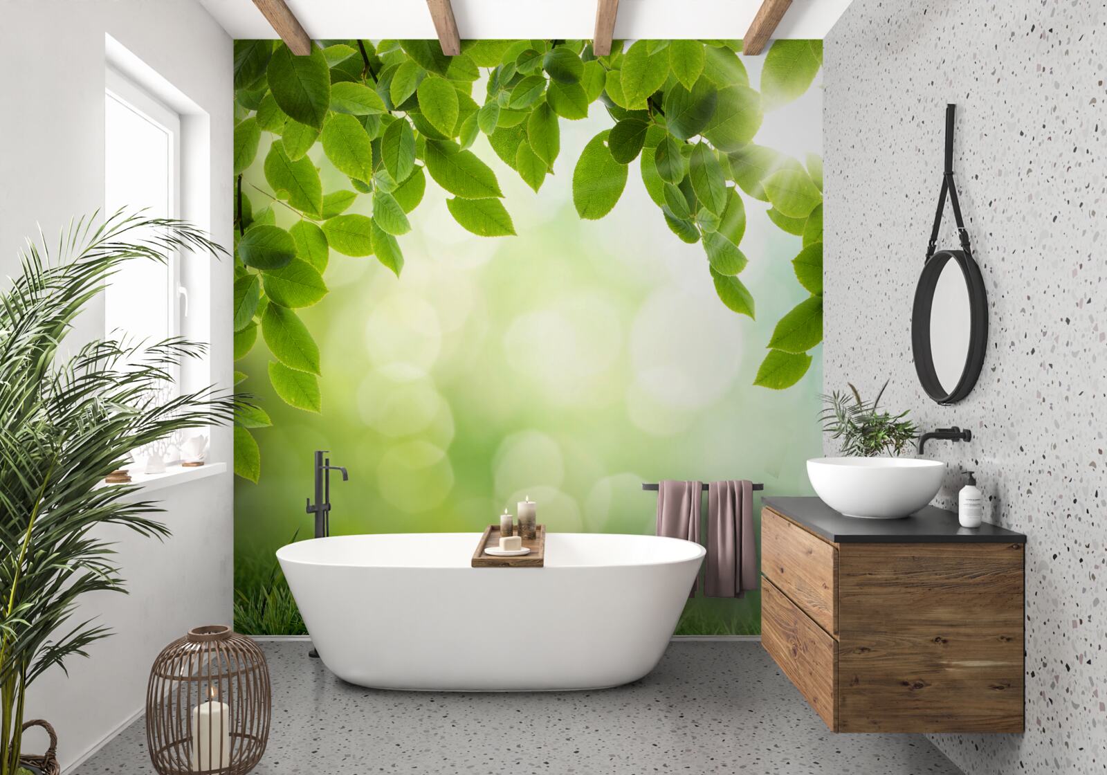 Fototapeta słońce w swojej jasności i liściach ozdobionych zielonymi kroplami