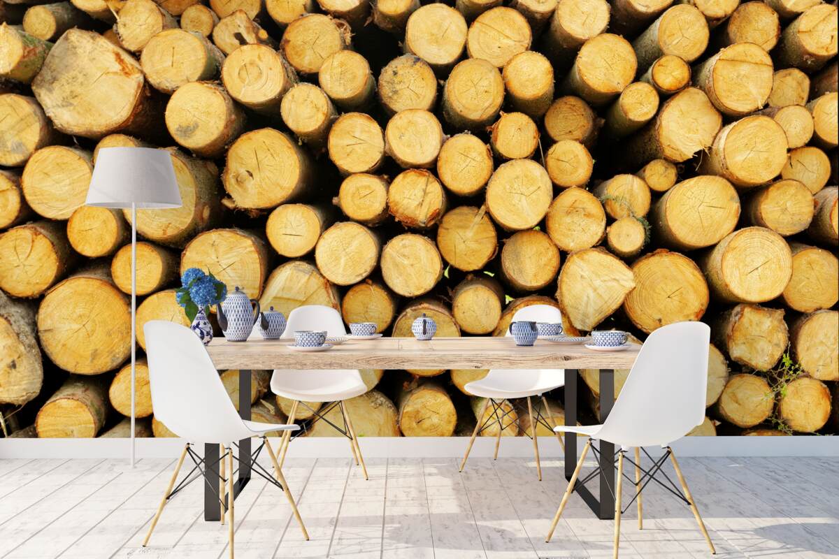 Fototapeta stos ściętego drewna opałowego