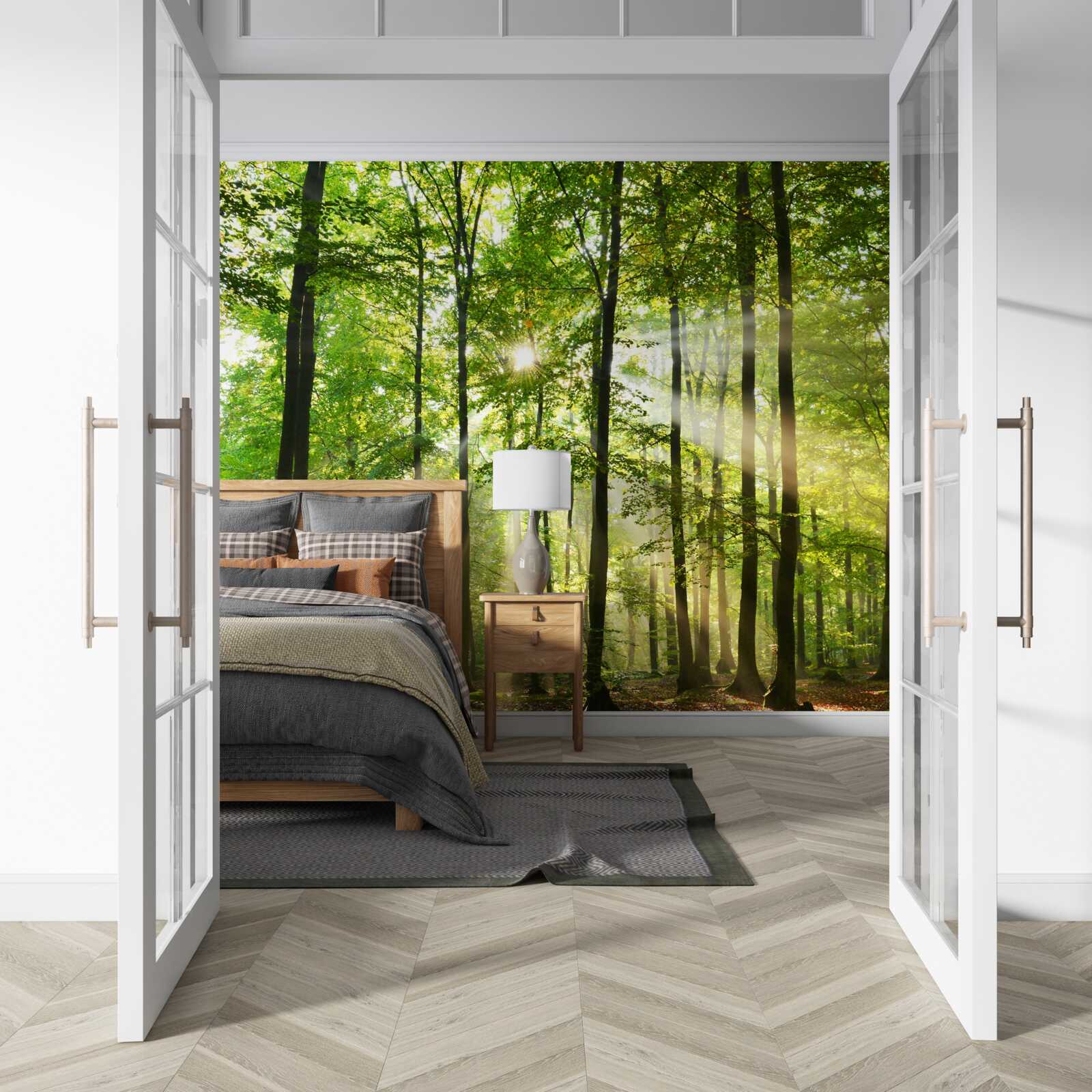 Fototapeta promienie słońca przebijają się przez uporządkowany zielony las