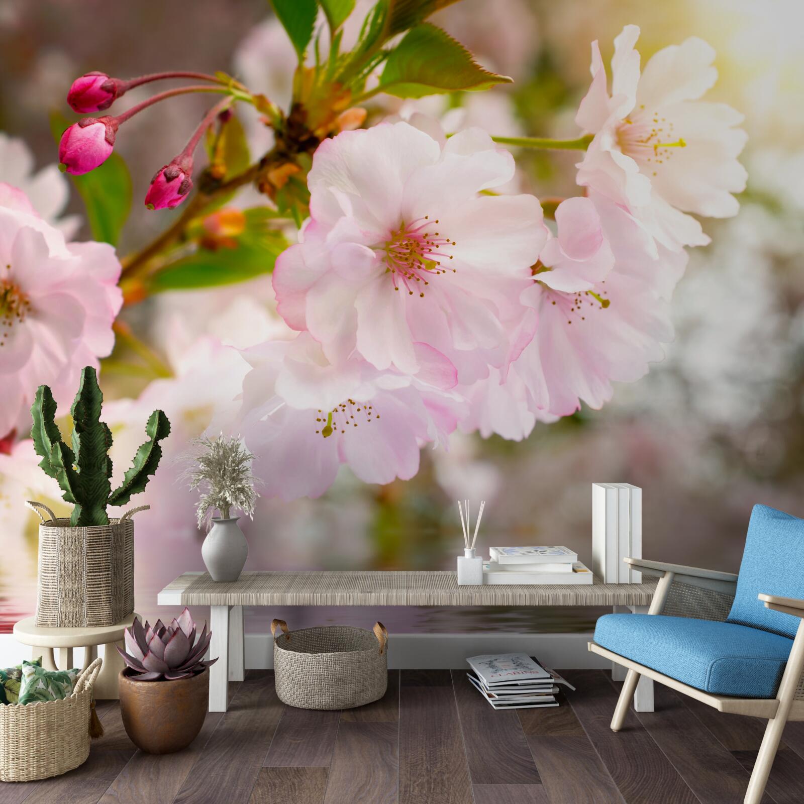 Fototapeta gałęzie wiśni z różowymi kwiatami wiszą nad wodą