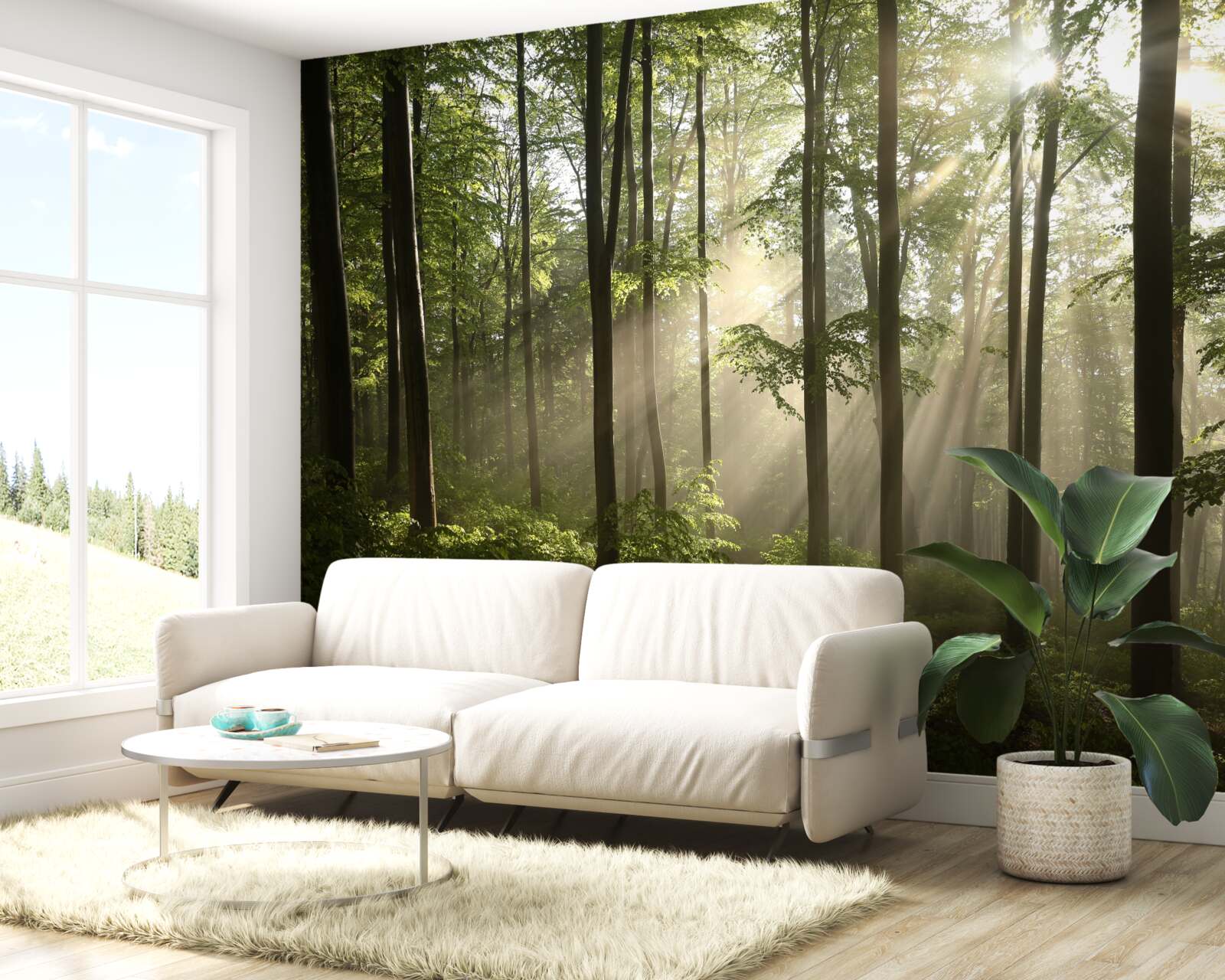 Fototapeta promienie słoneczne przenikają przez mgłę w lesie