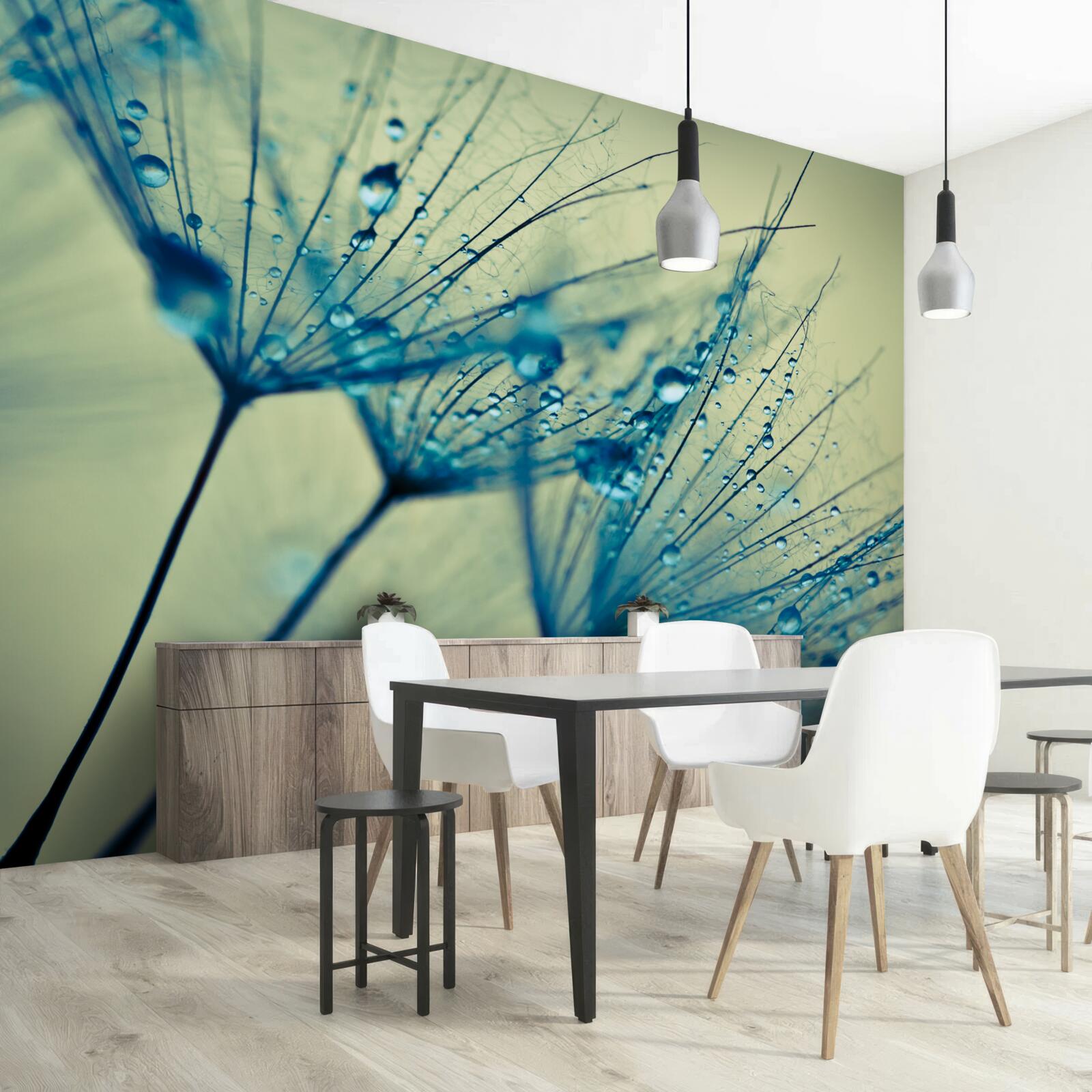 Fototapeta mniszek lekarski ozdobiony kroplami wody