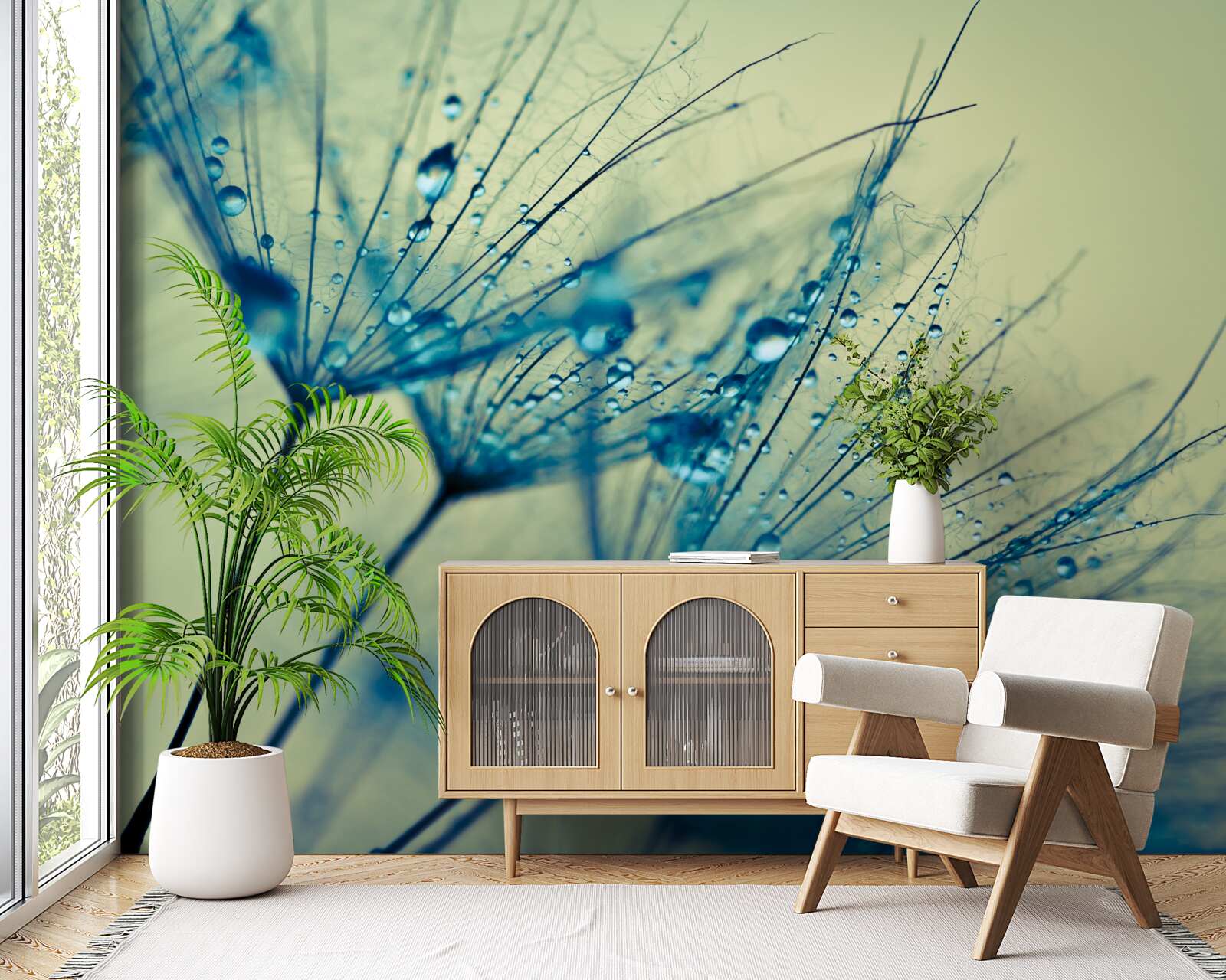 Fototapeta mniszek lekarski ozdobiony kroplami wody