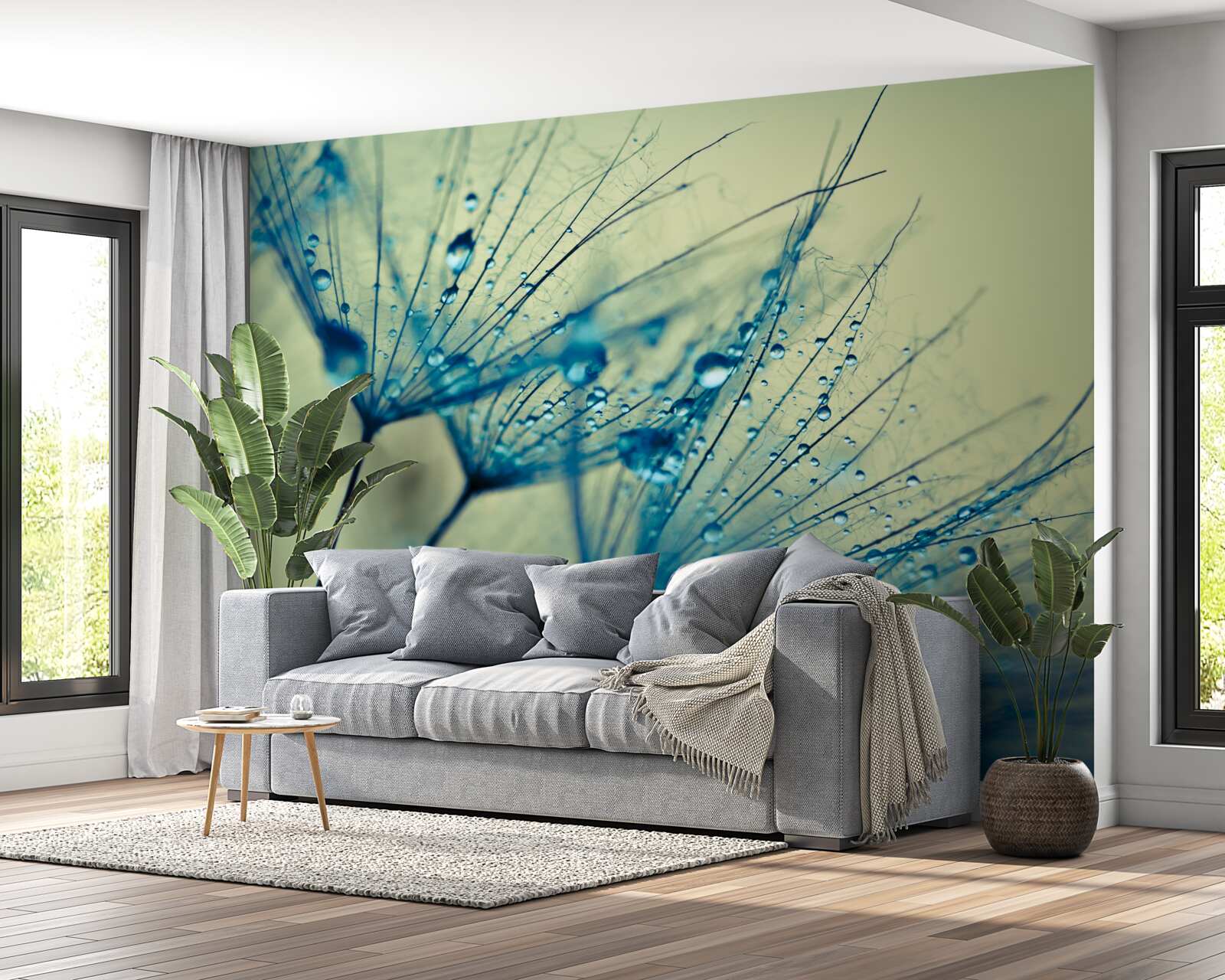 Fototapeta mniszek lekarski ozdobiony kroplami wody