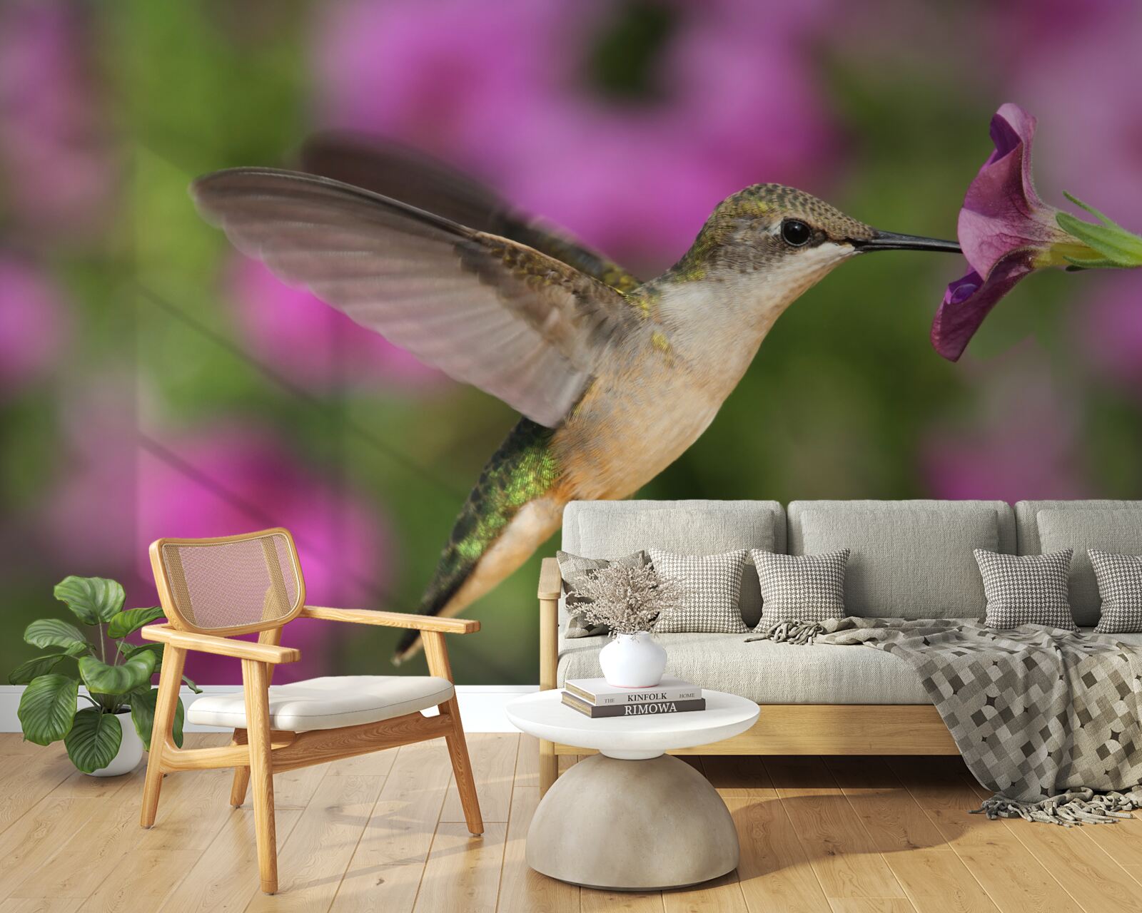 Fototapeta nektar gasi pragnienie kolibrów