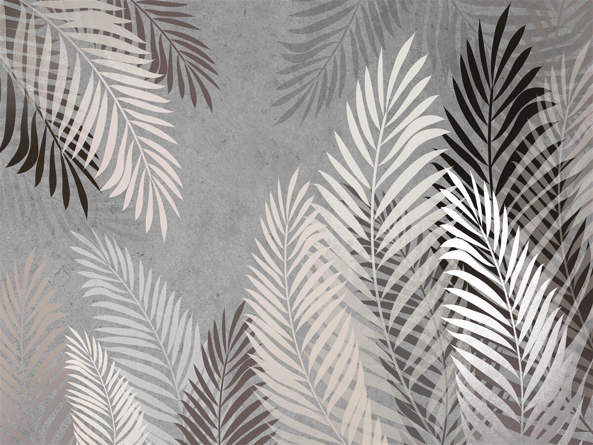 Fototapeta liście tropikalne są białe i czarne