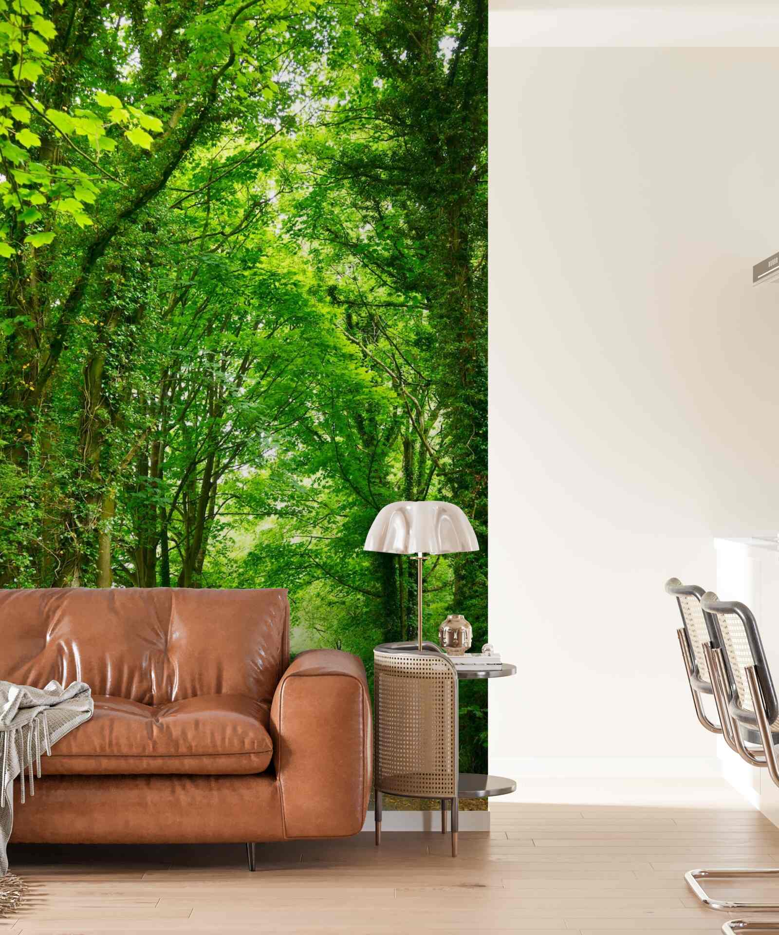 Fototapeta nad ścieżką wznoszą się łuki z zielonych drzew