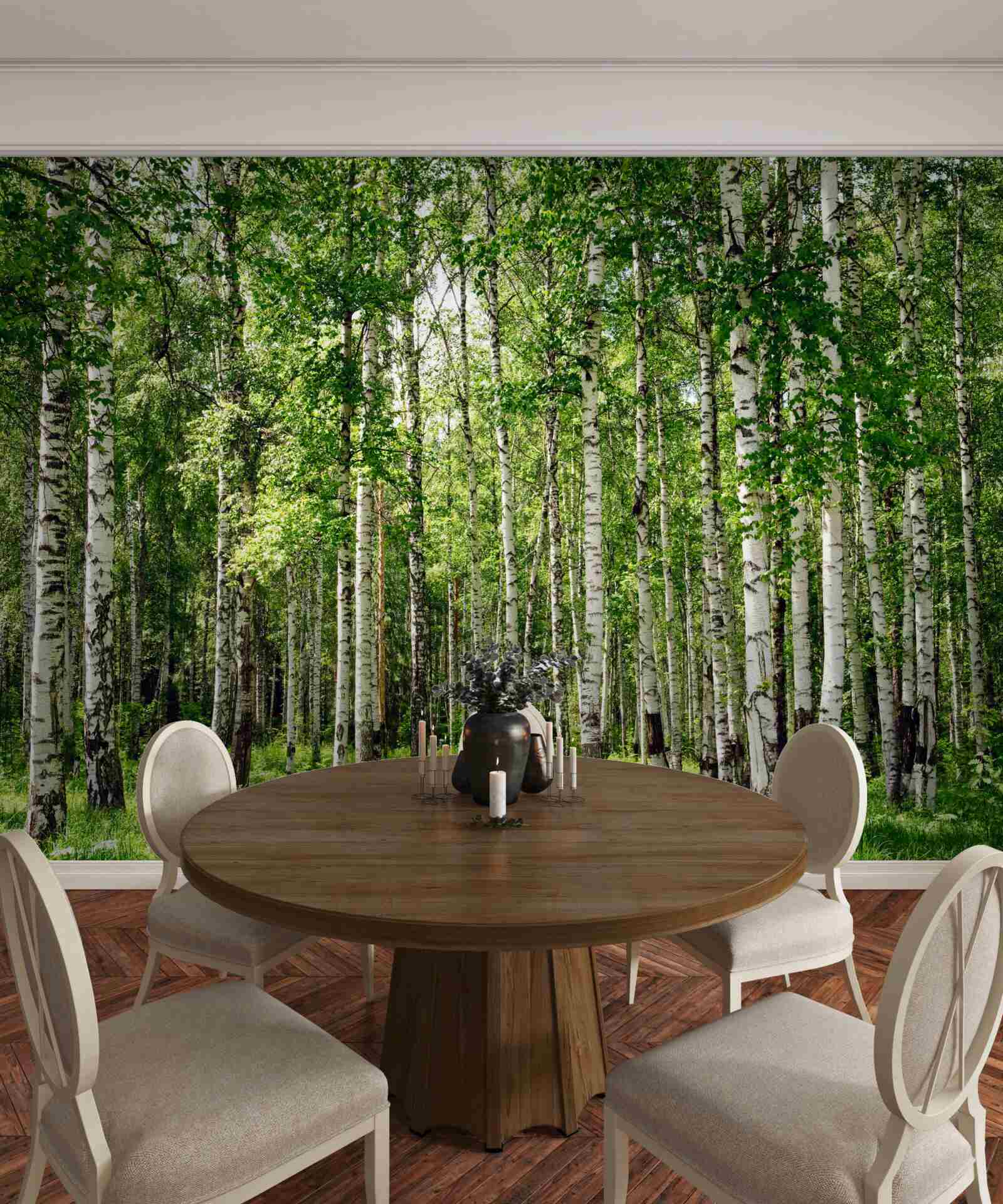 Fototapeta smukły gaj brzozowy